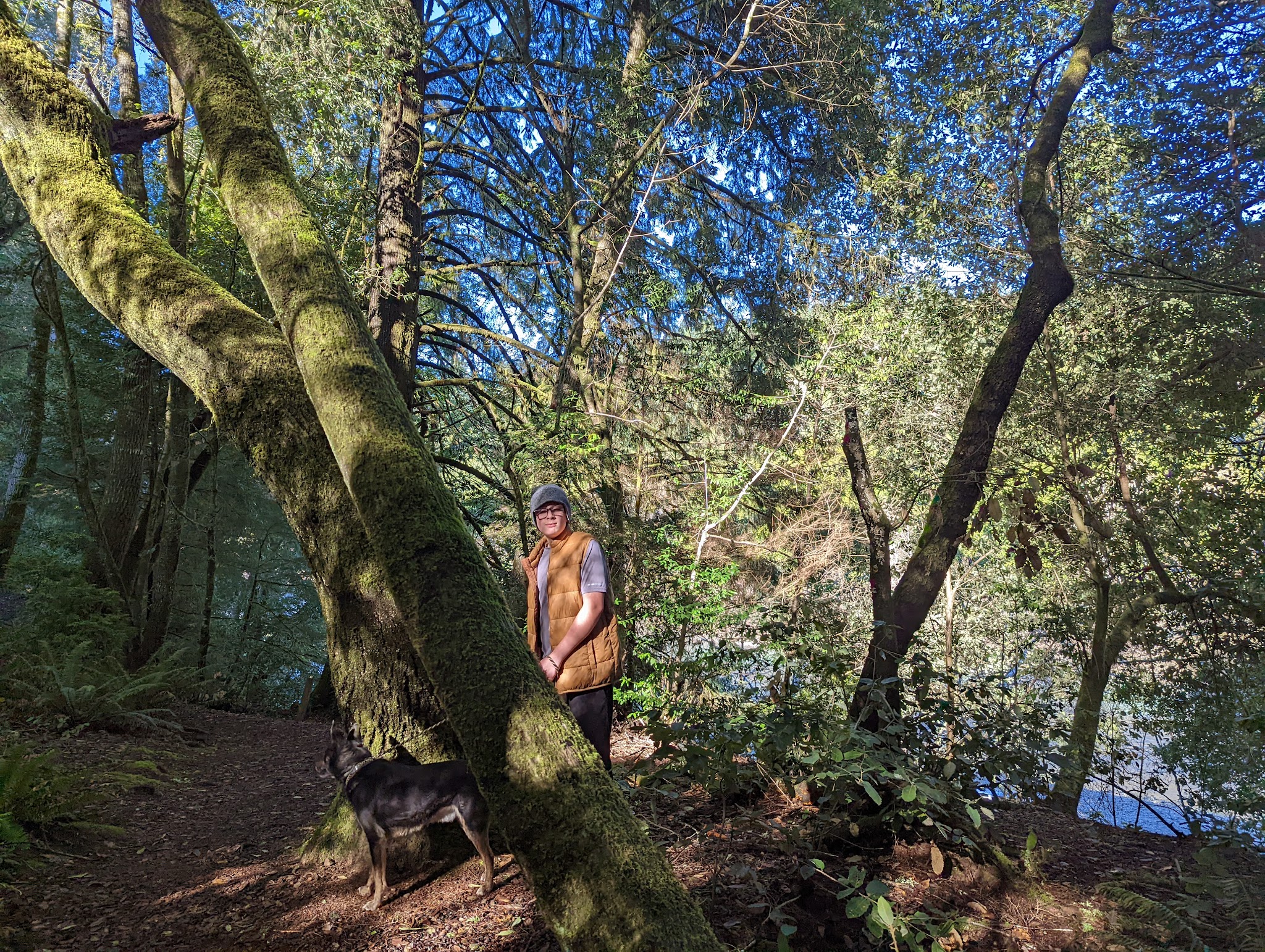 Alfred A. Loeb State Park
