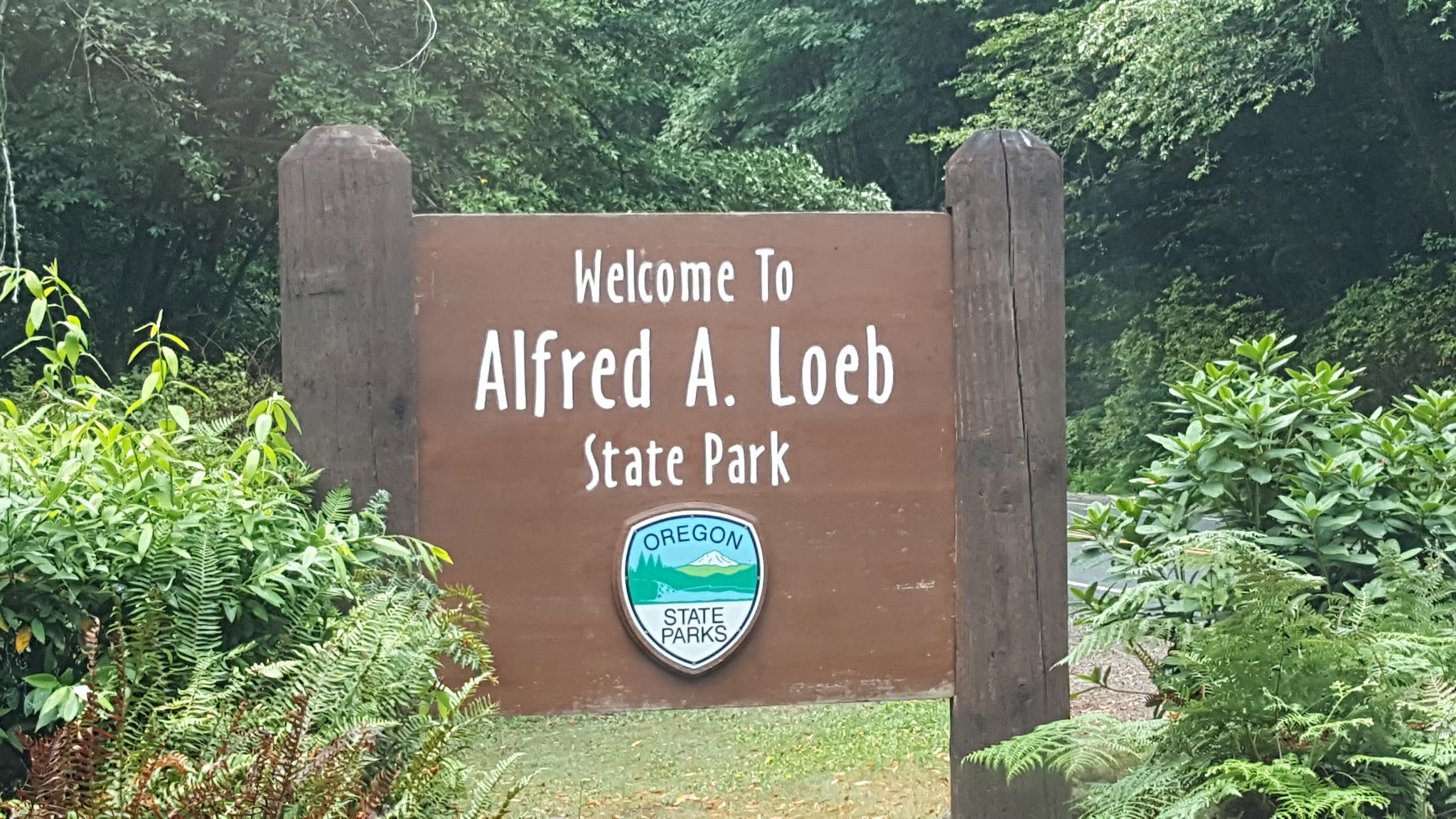 Alfred A. Loeb State Park