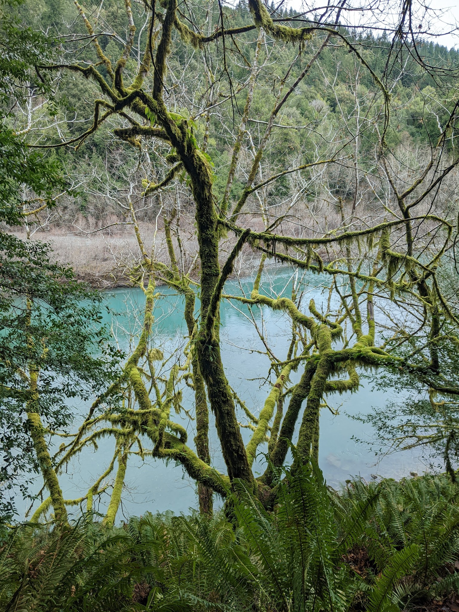 Alfred A. Loeb State Park
