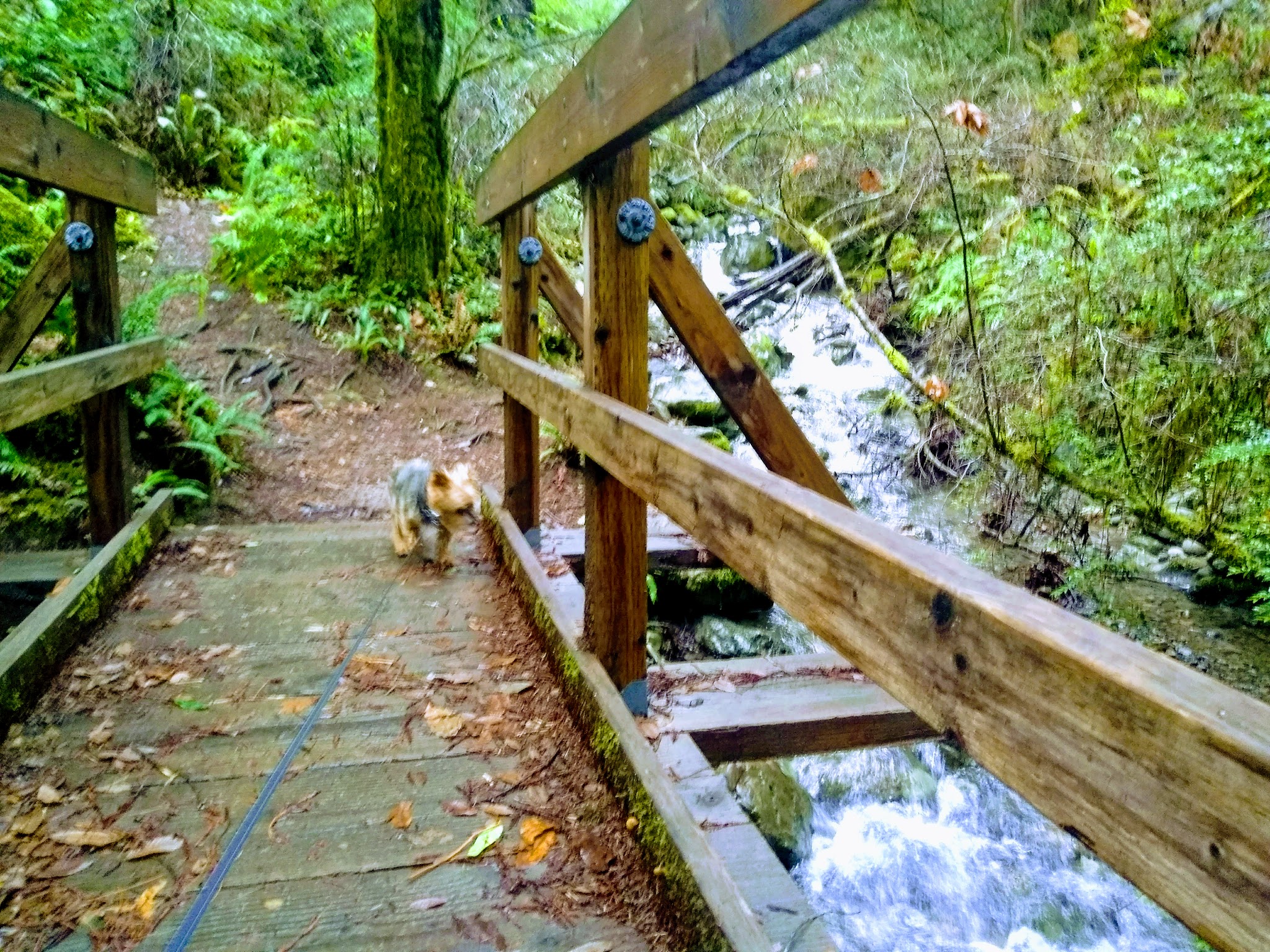 Alfred A. Loeb State Park