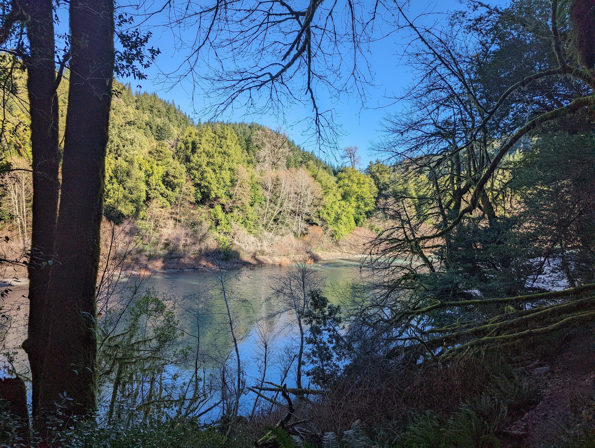 Alfred A. Loeb State Park