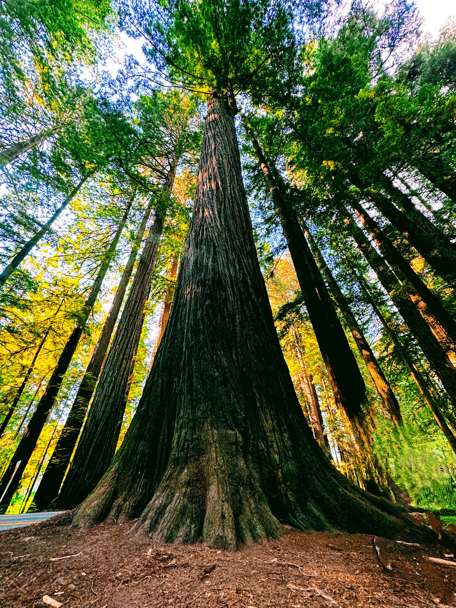 Alfred A. Loeb State Park