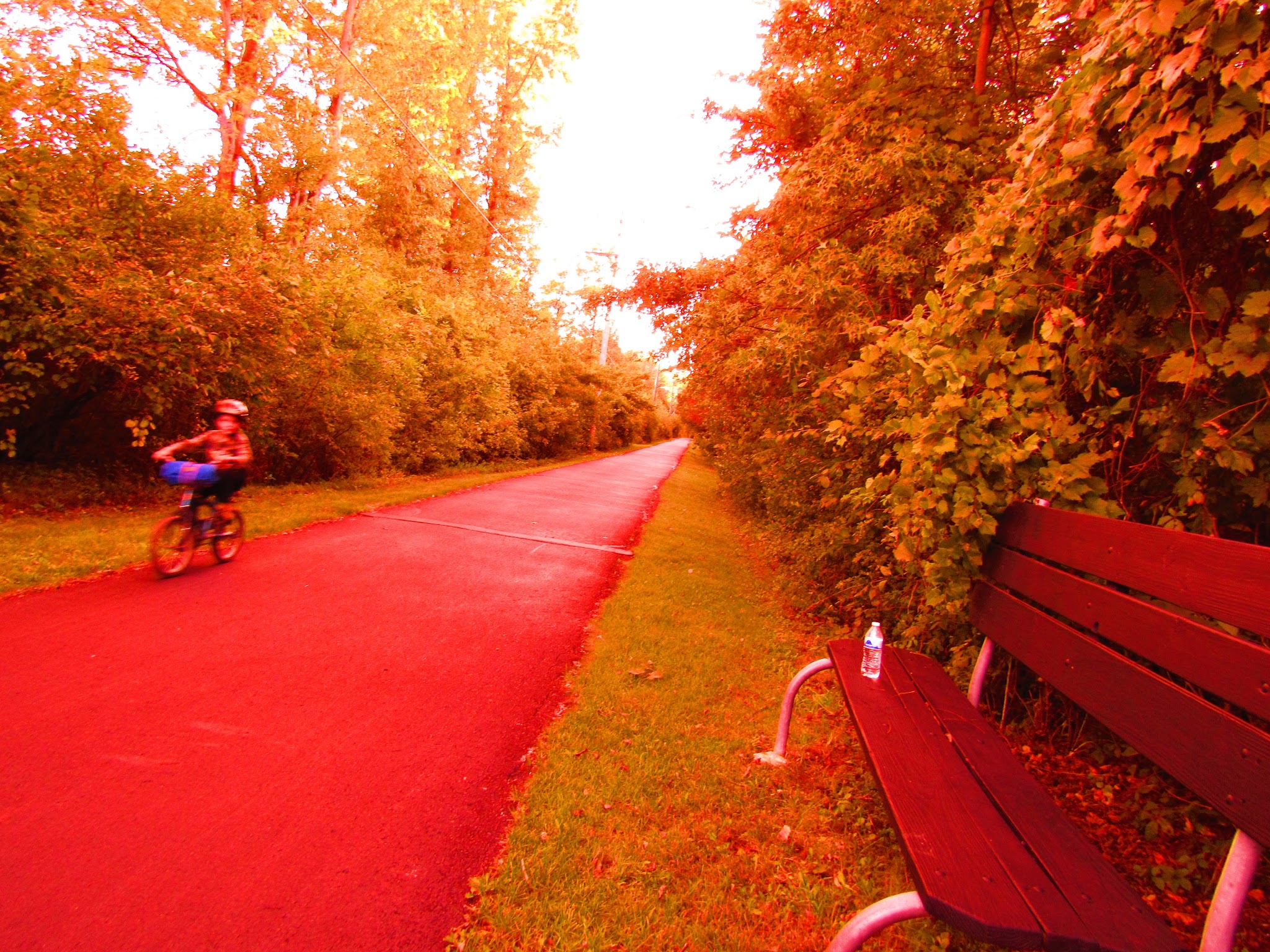 Algonac Riverfront Campground