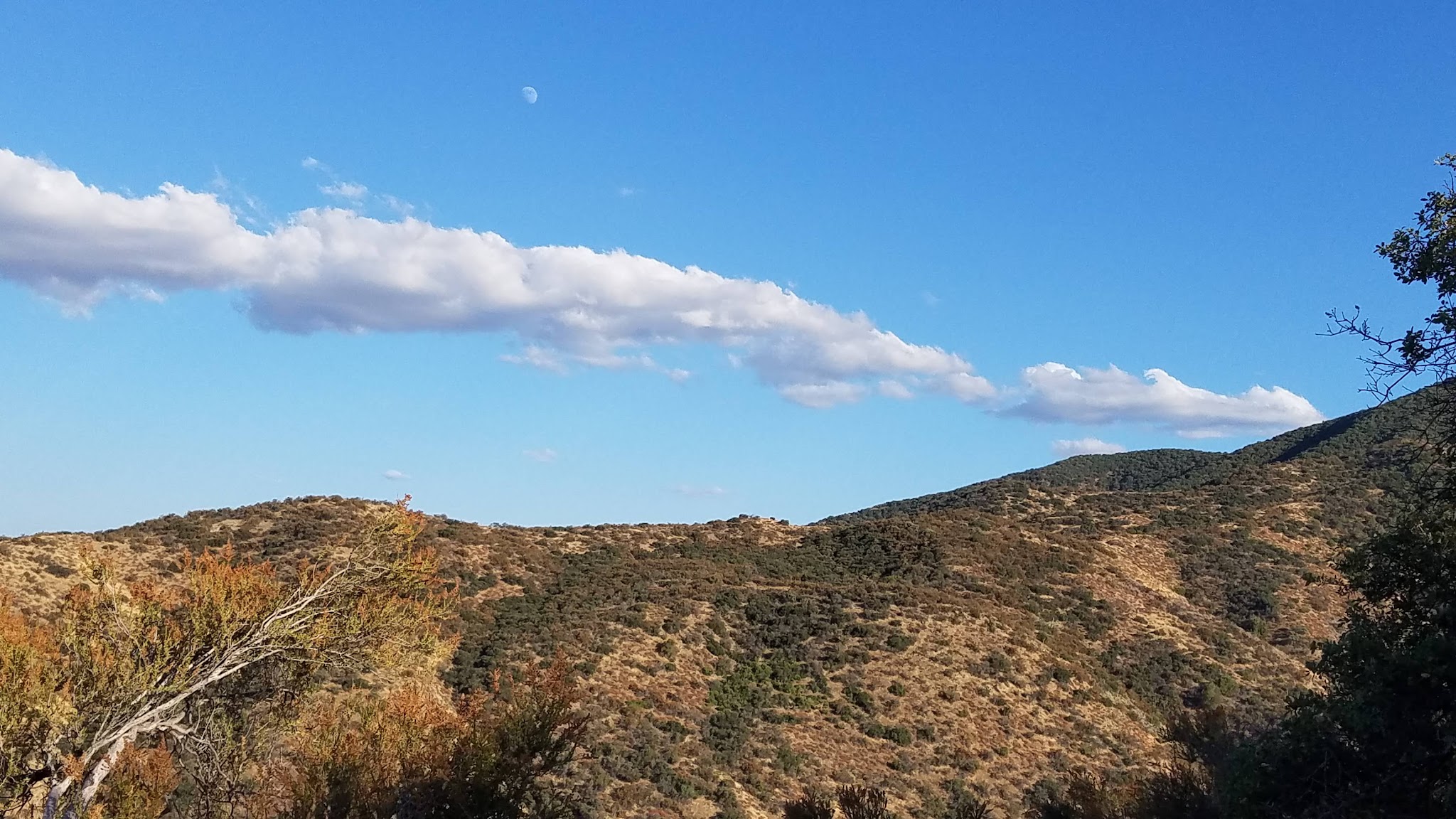 Aliso Park Campground