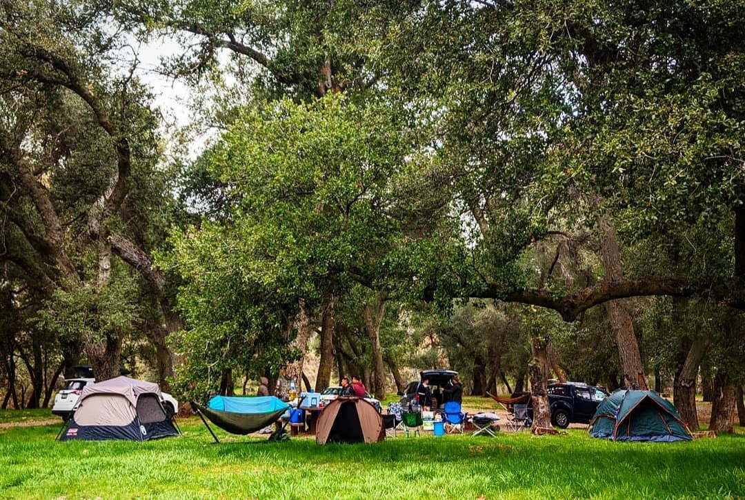 Aliso Park Campground