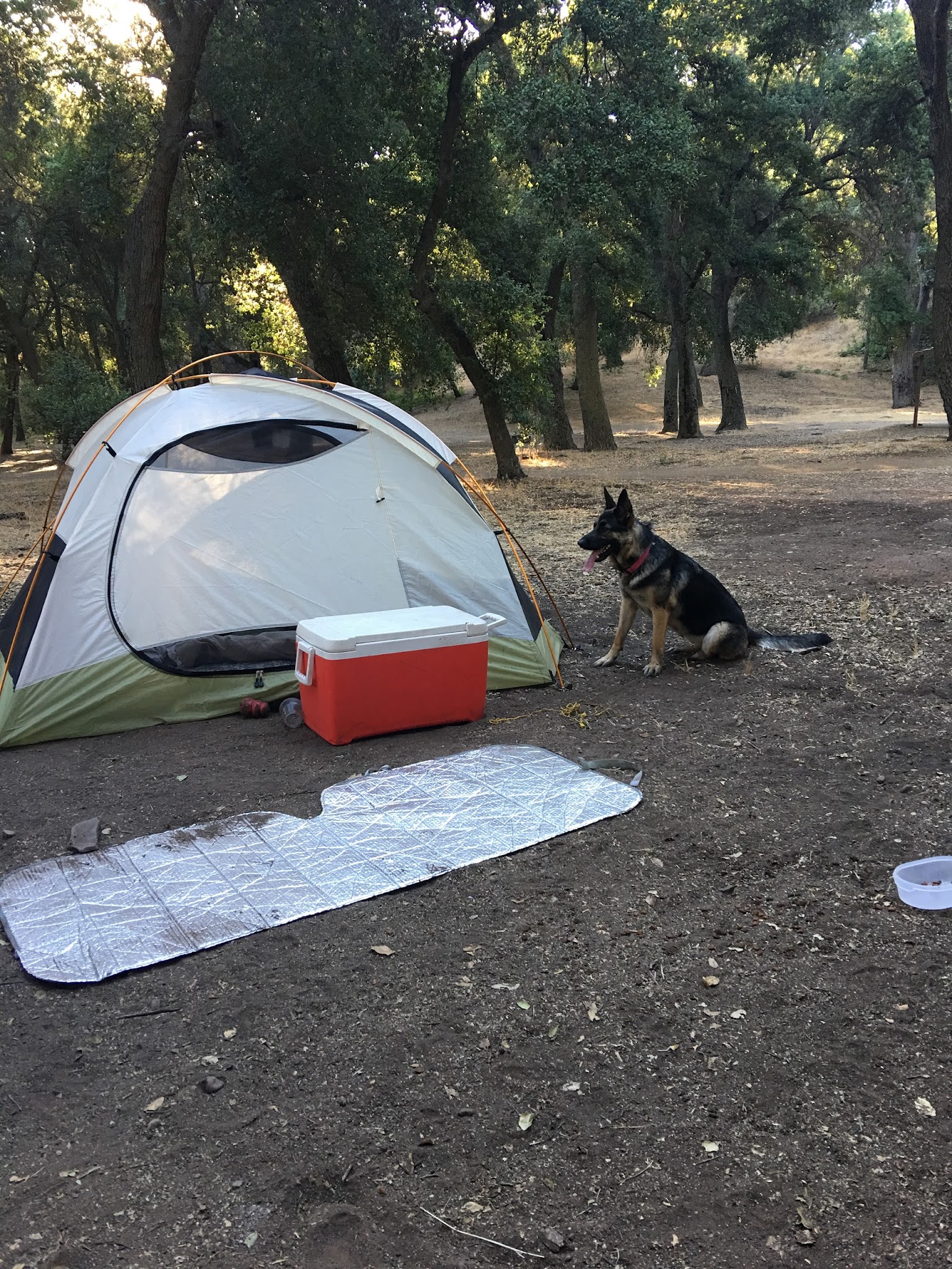 Aliso Park Campground