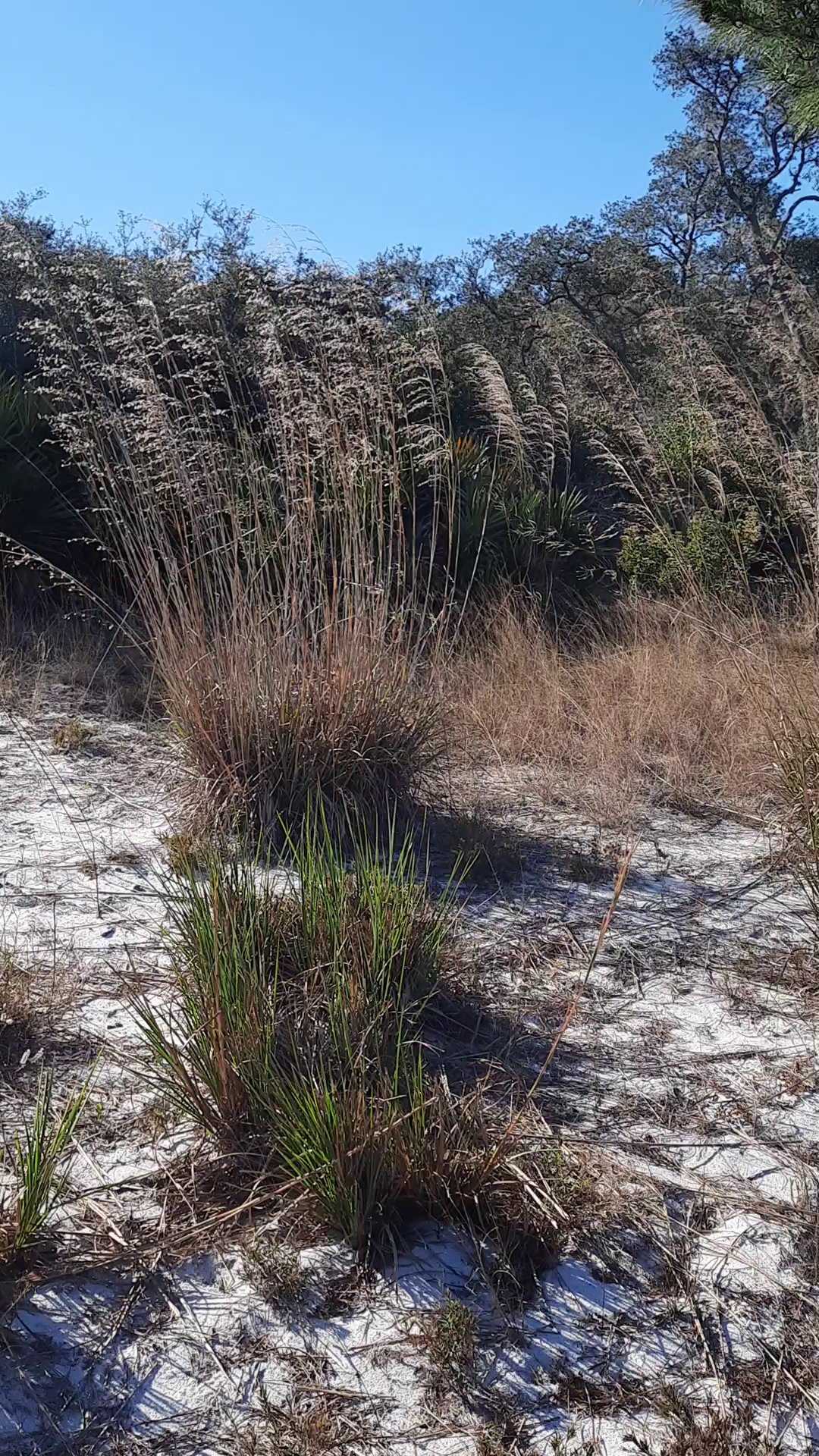 Catfish Creek Preserve State Park Campground