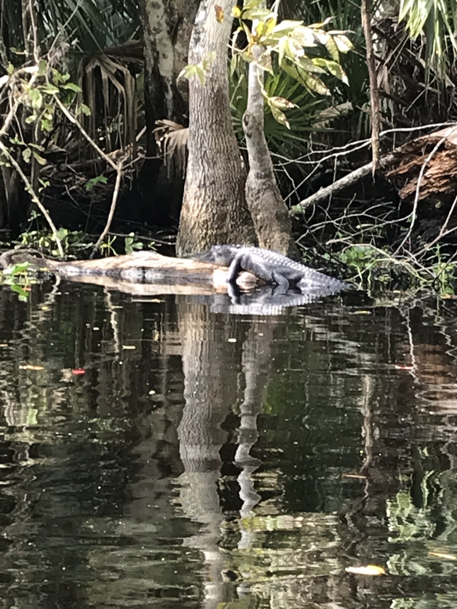 Lower Wekiva River State Park Campground