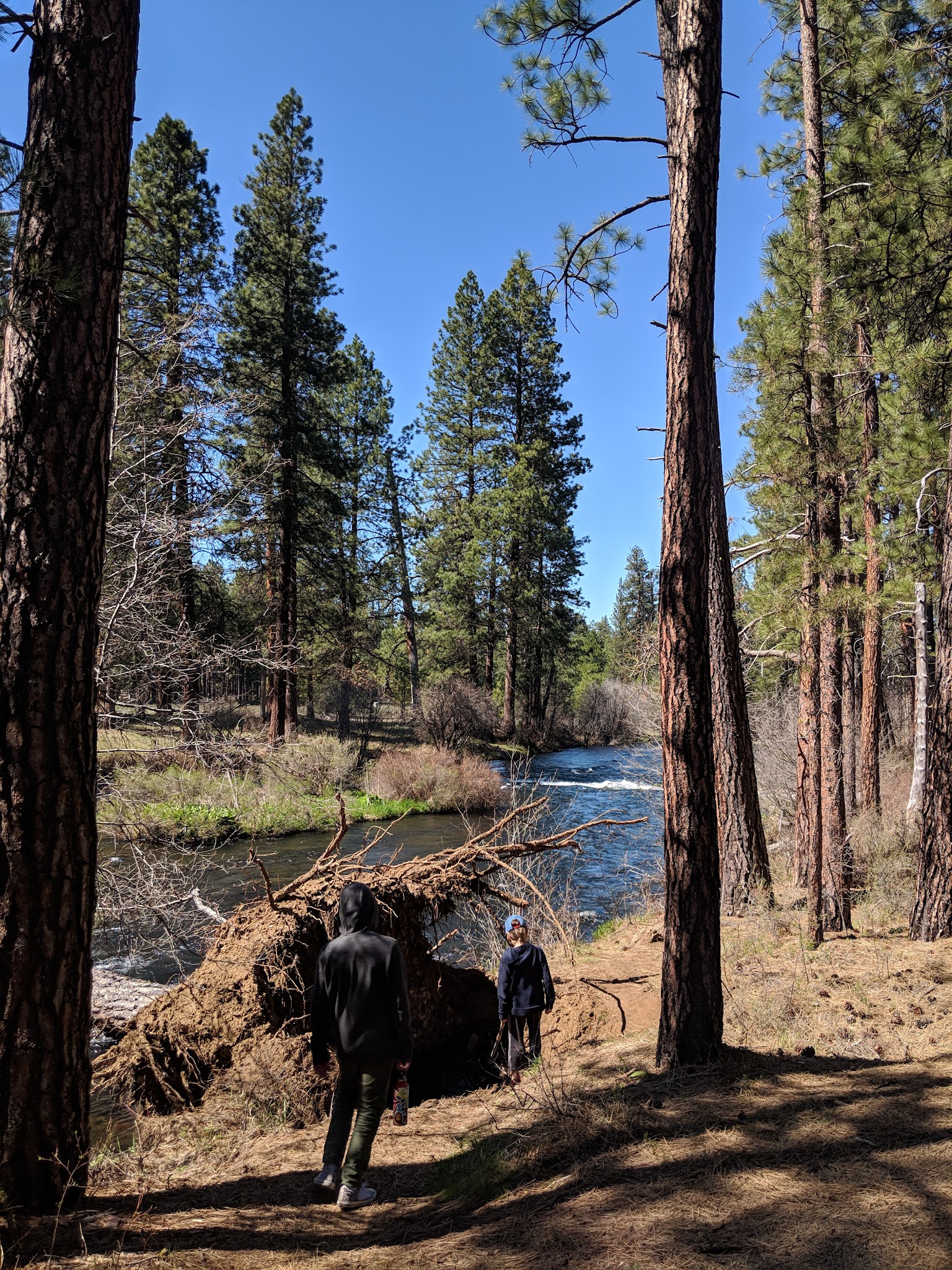 Allingham Campground