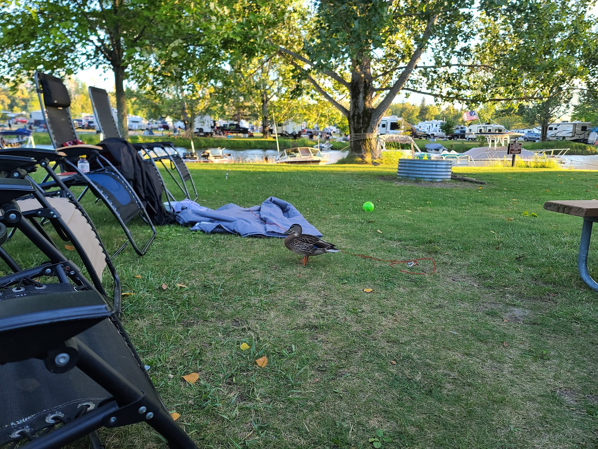 Aloha-Modern Campground