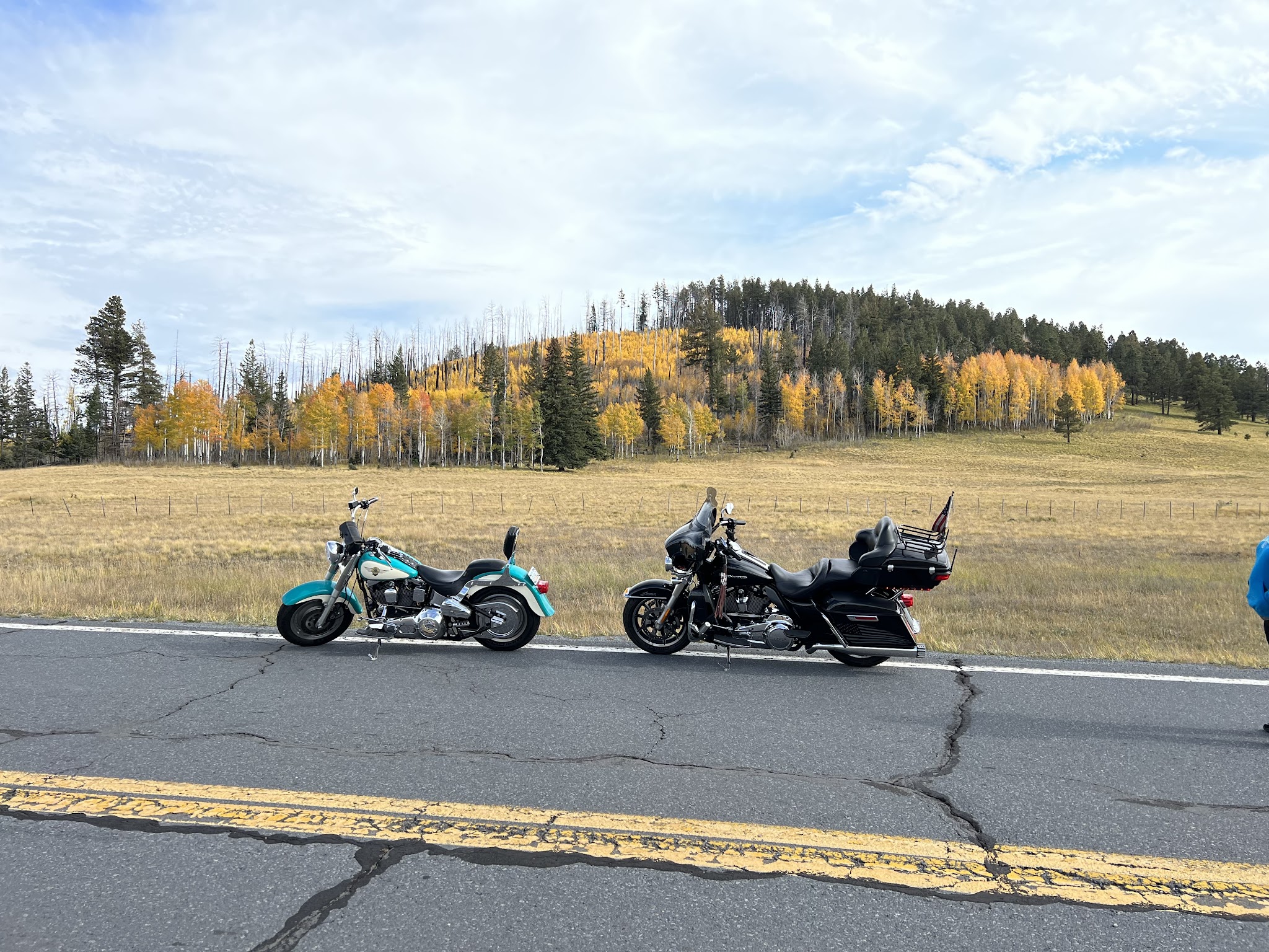 Alpine Divide Campground