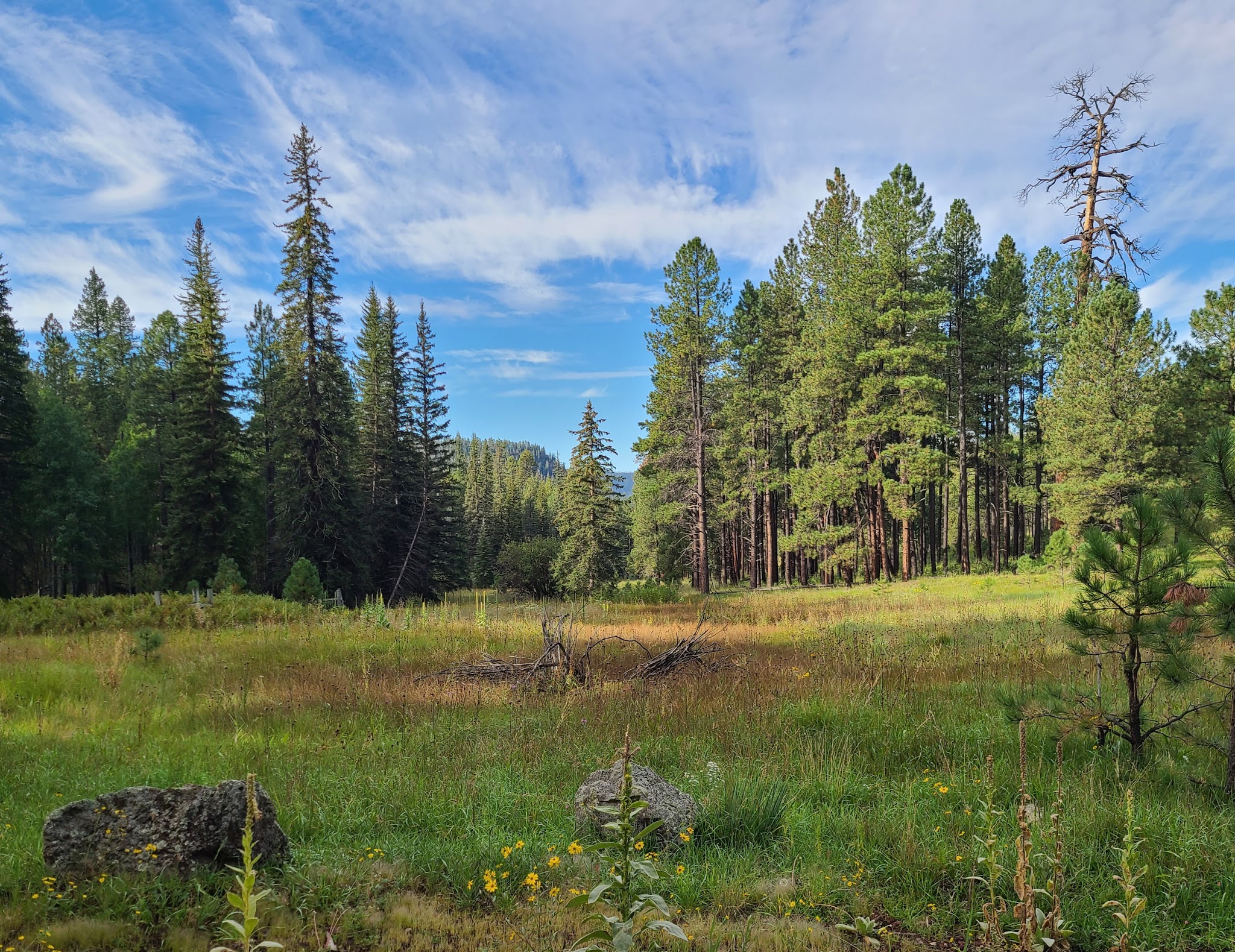 Alpine Divide Campground