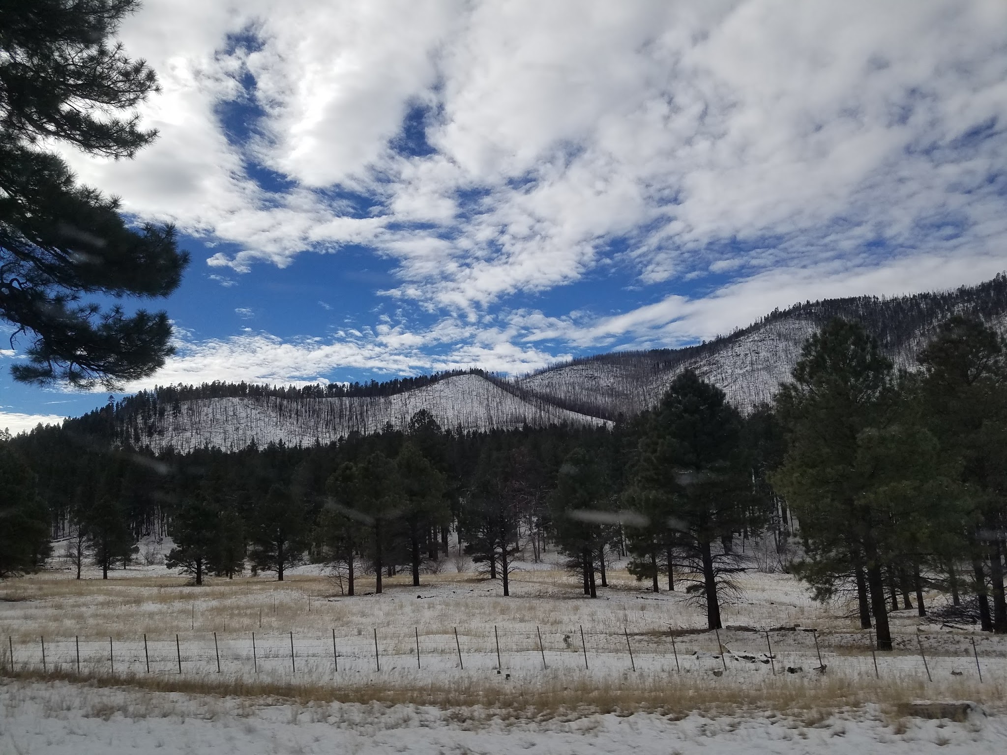 Alpine Divide Campground
