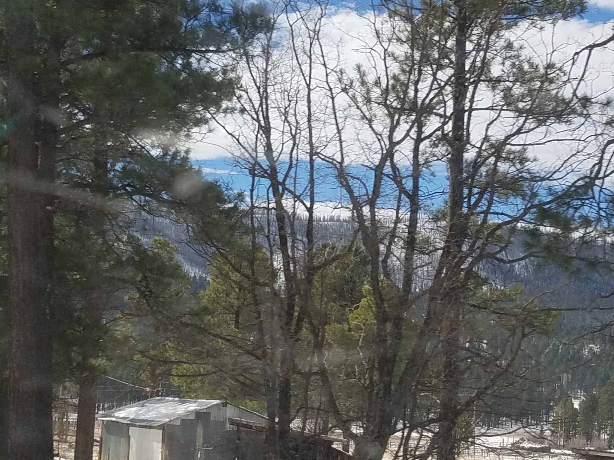 Alpine Divide Campground