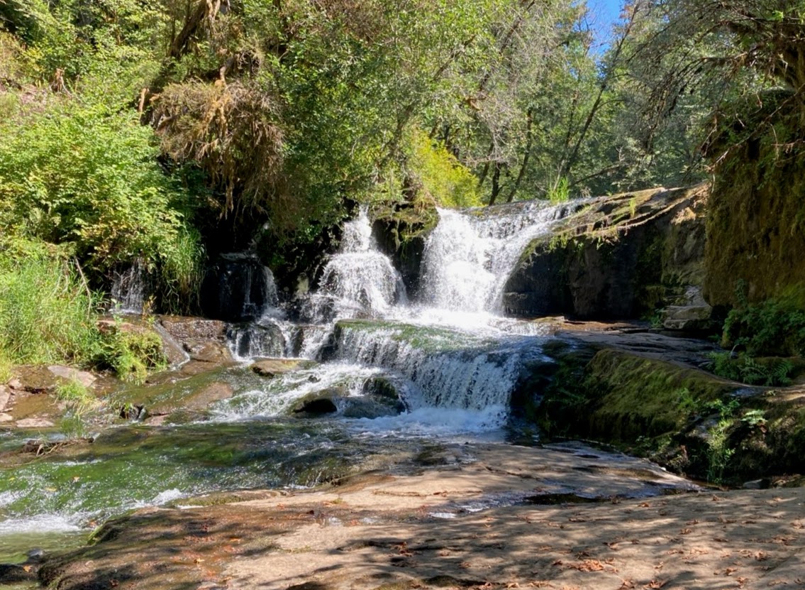 Alsea Falls Recreation Site (Campground)