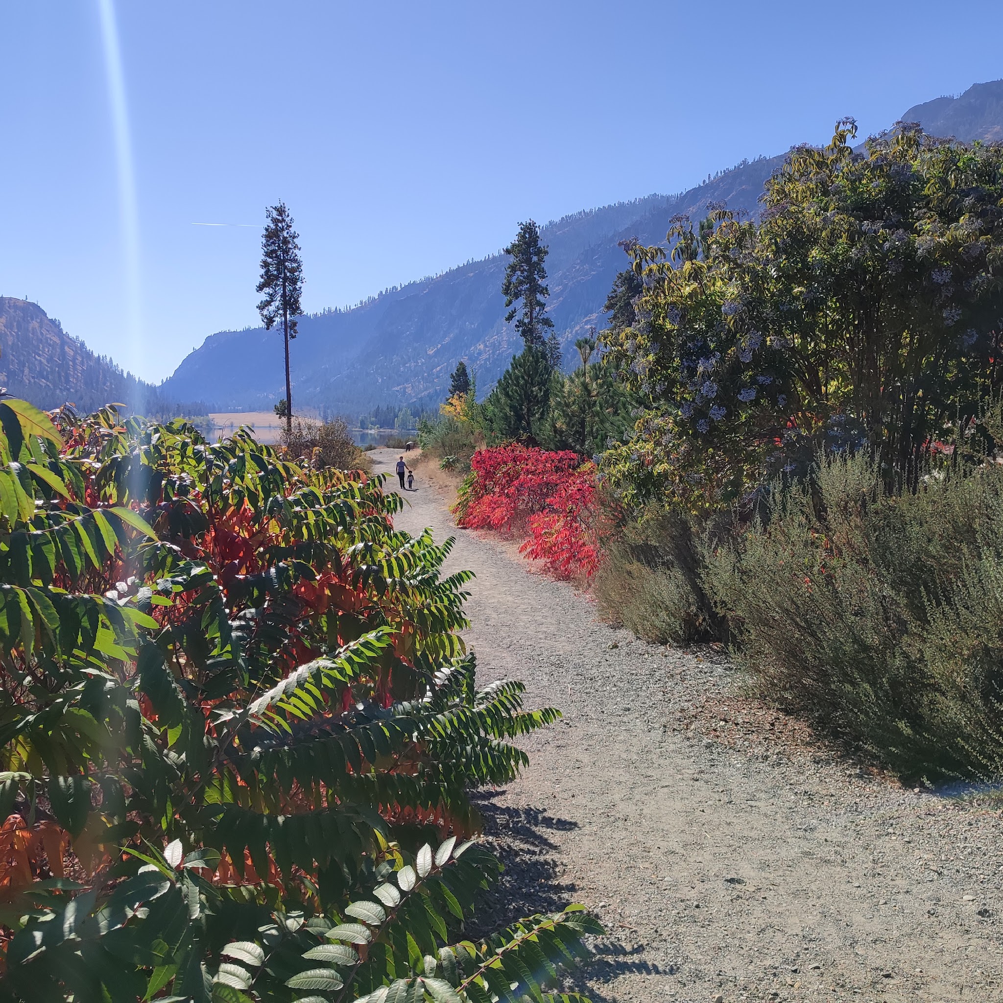 Alta Lake State Park