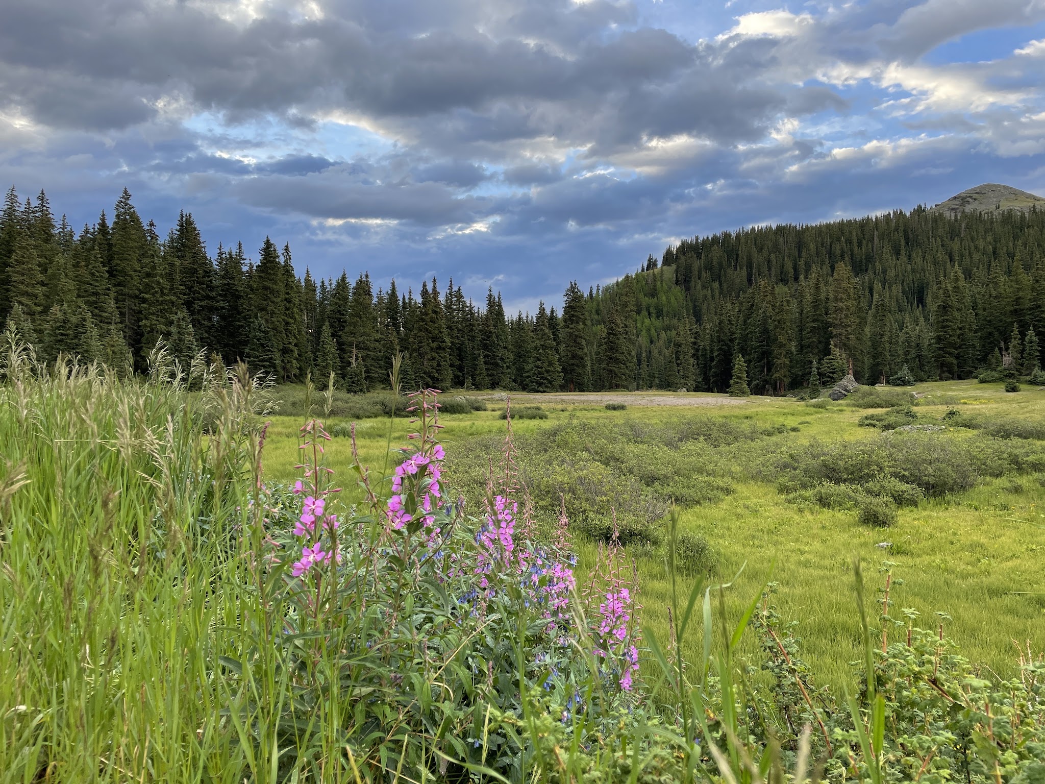 Alta Lakes Campground (Designated) - Norwood Rd