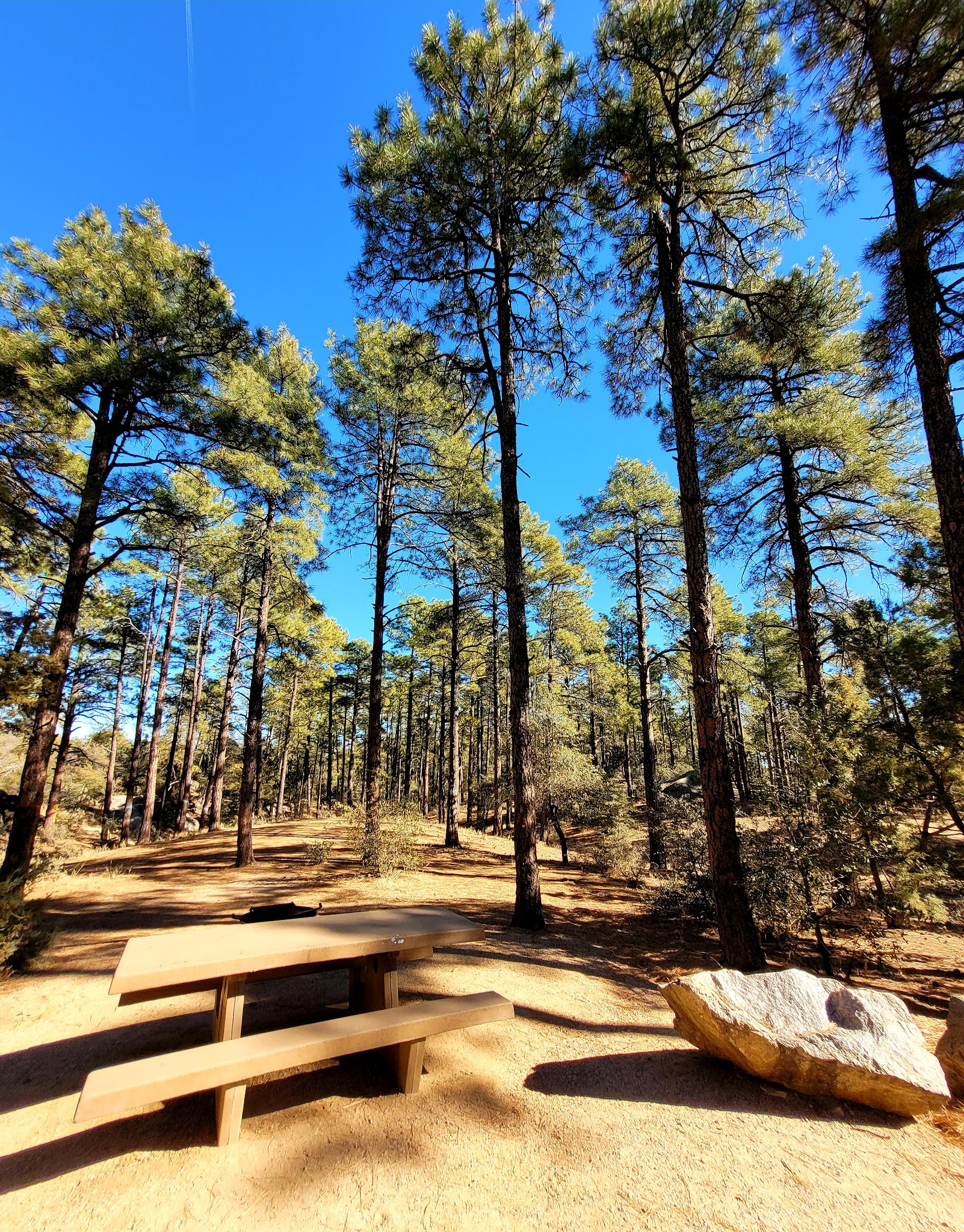 Alto Pit Ohv Campground