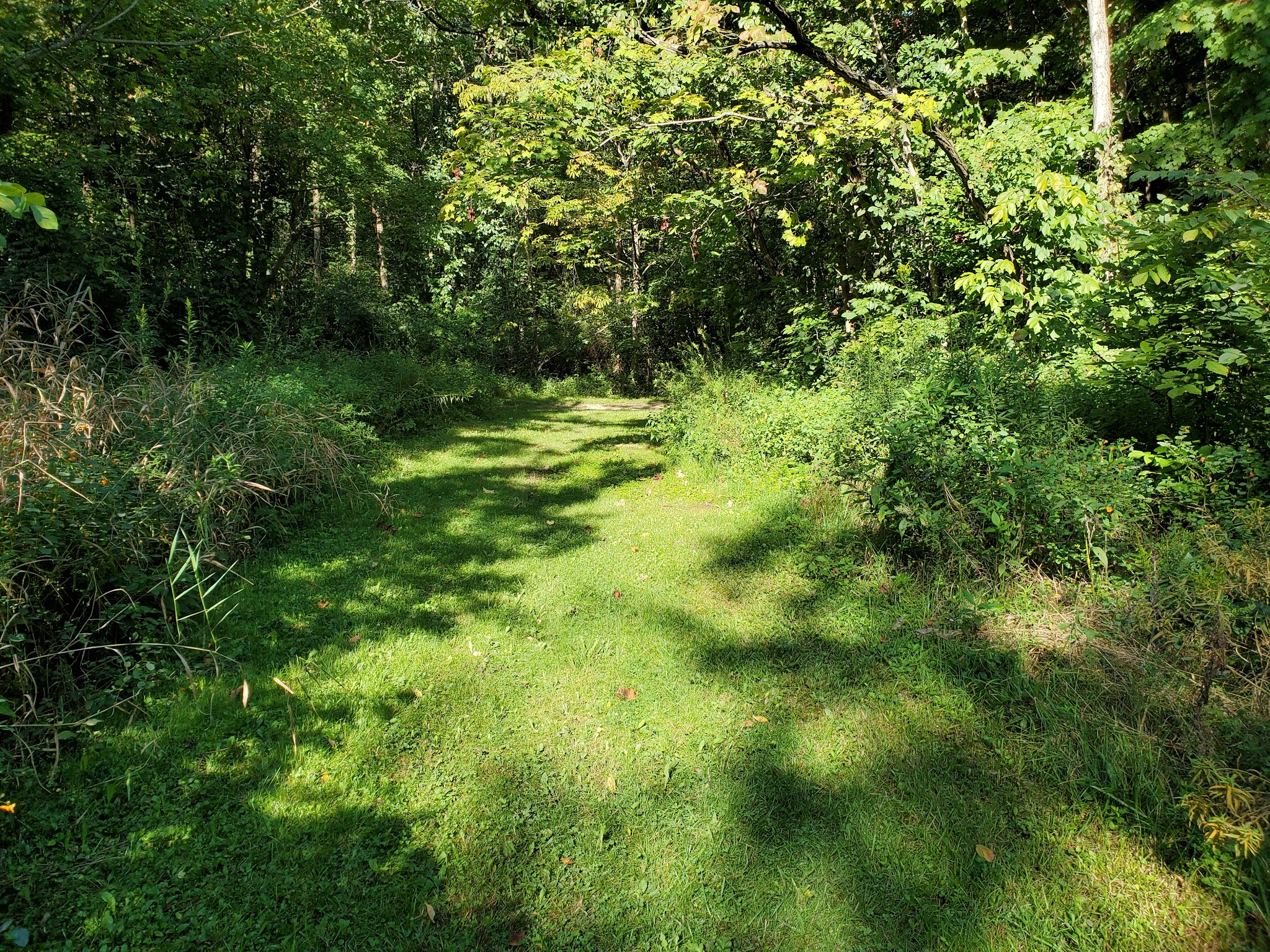Alum Creek - A Thru G Campground
