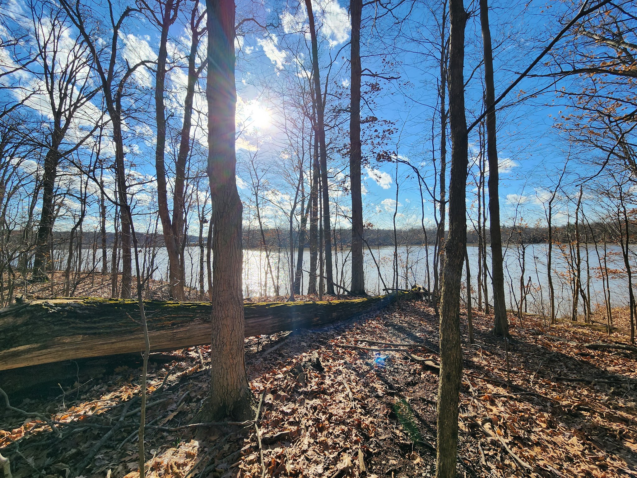 Alum Creek Equestrian Campground