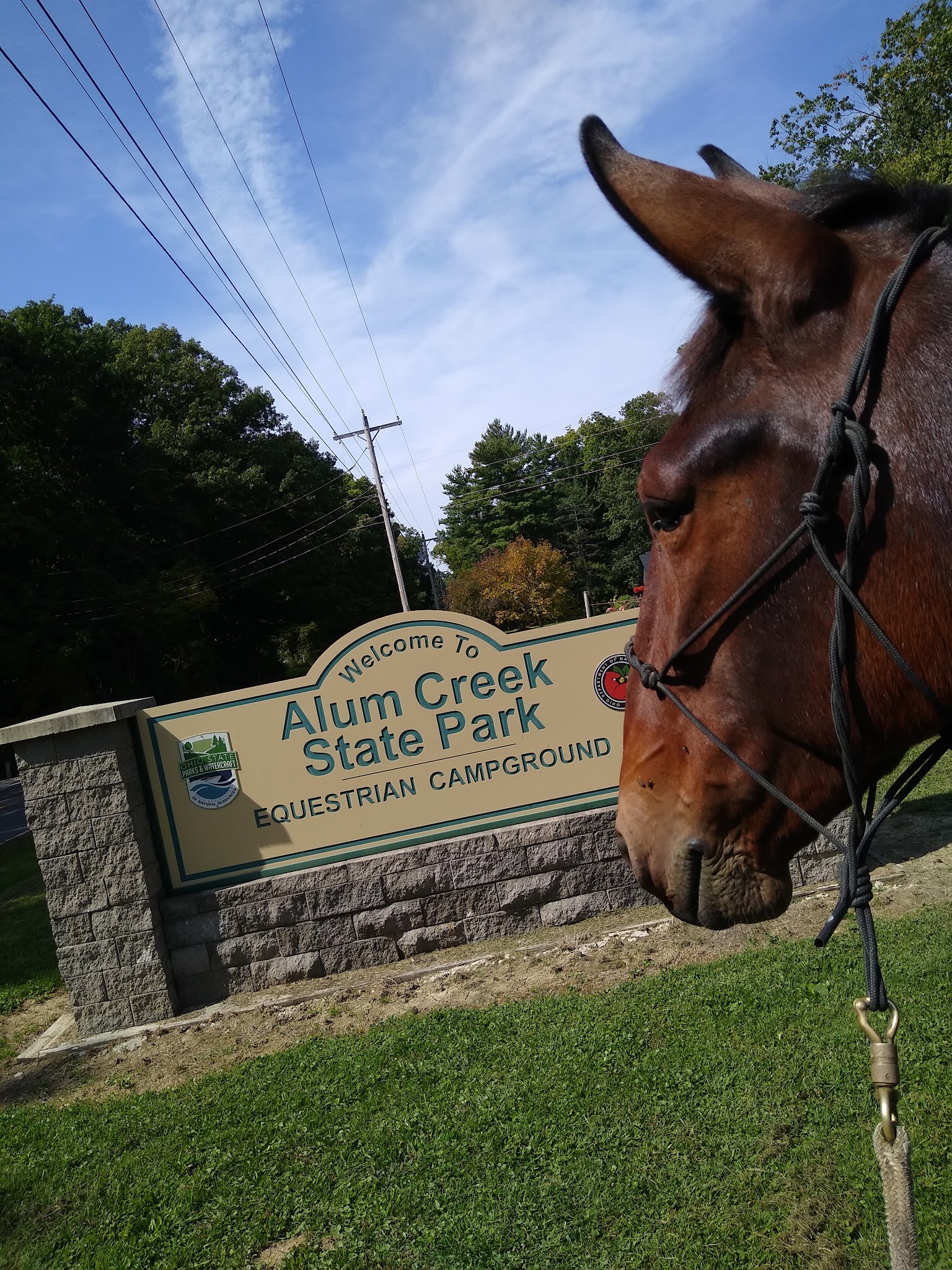 Alum Creek Equestrian Campground