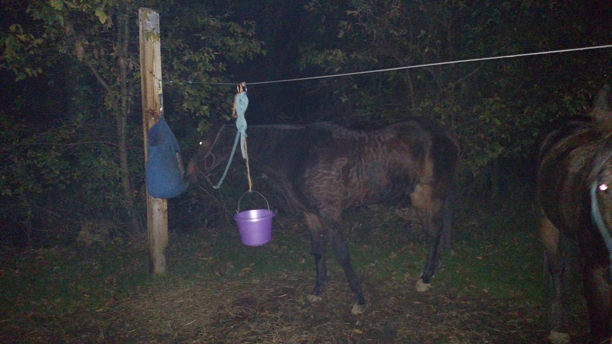 Alum Creek Equestrian Campground