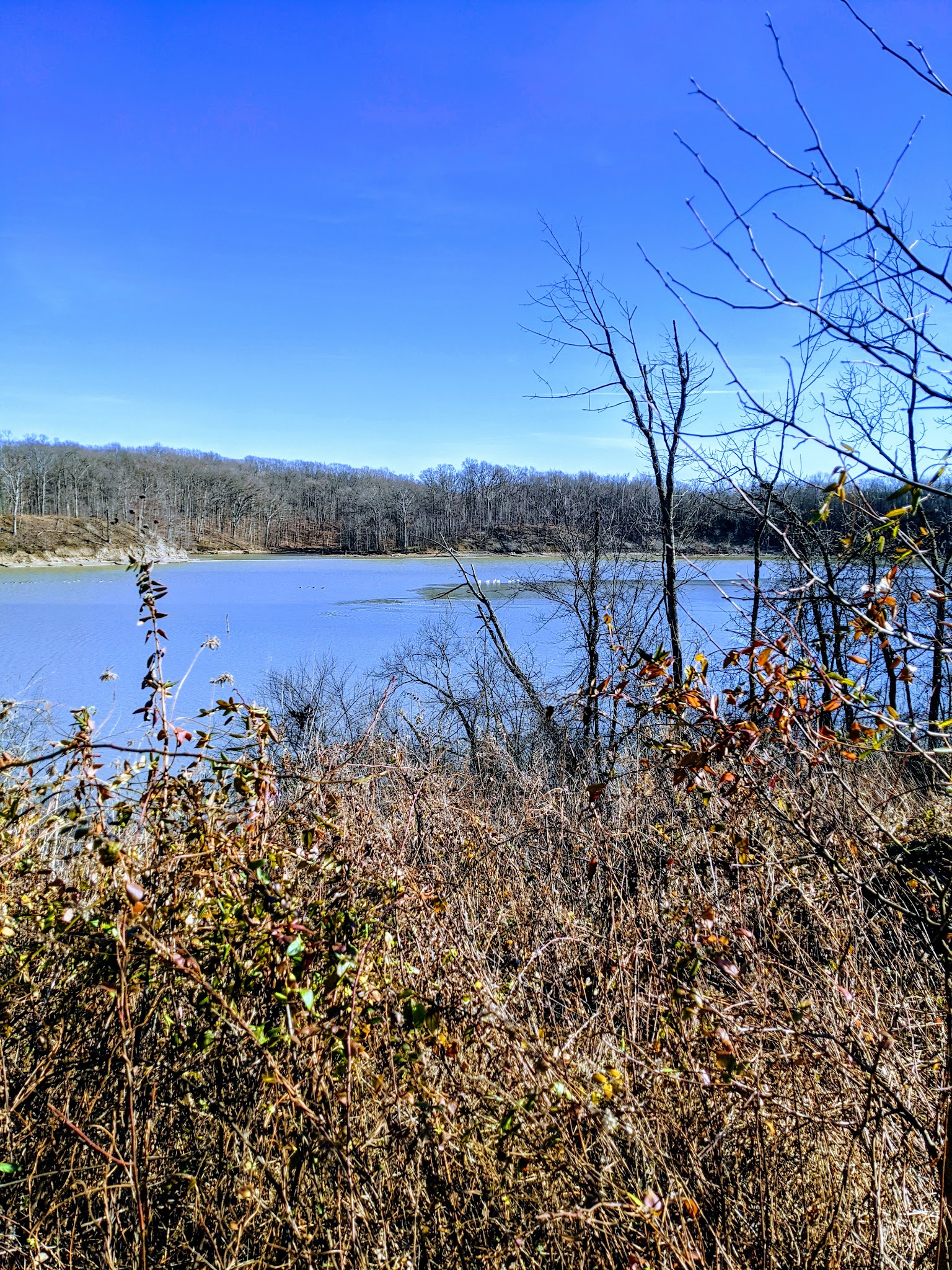 Alum Creek Equestrian Campground