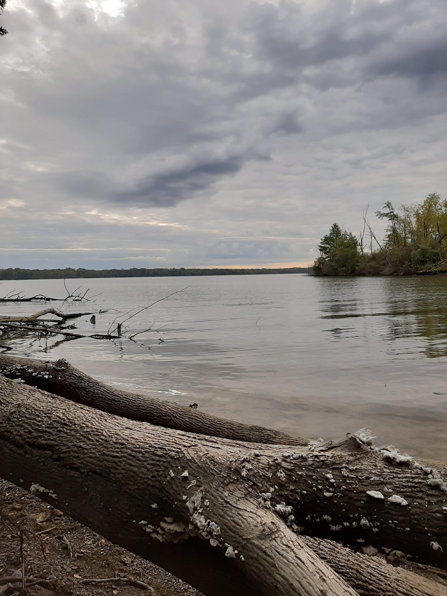 Alum Creek - A Thru G Campground