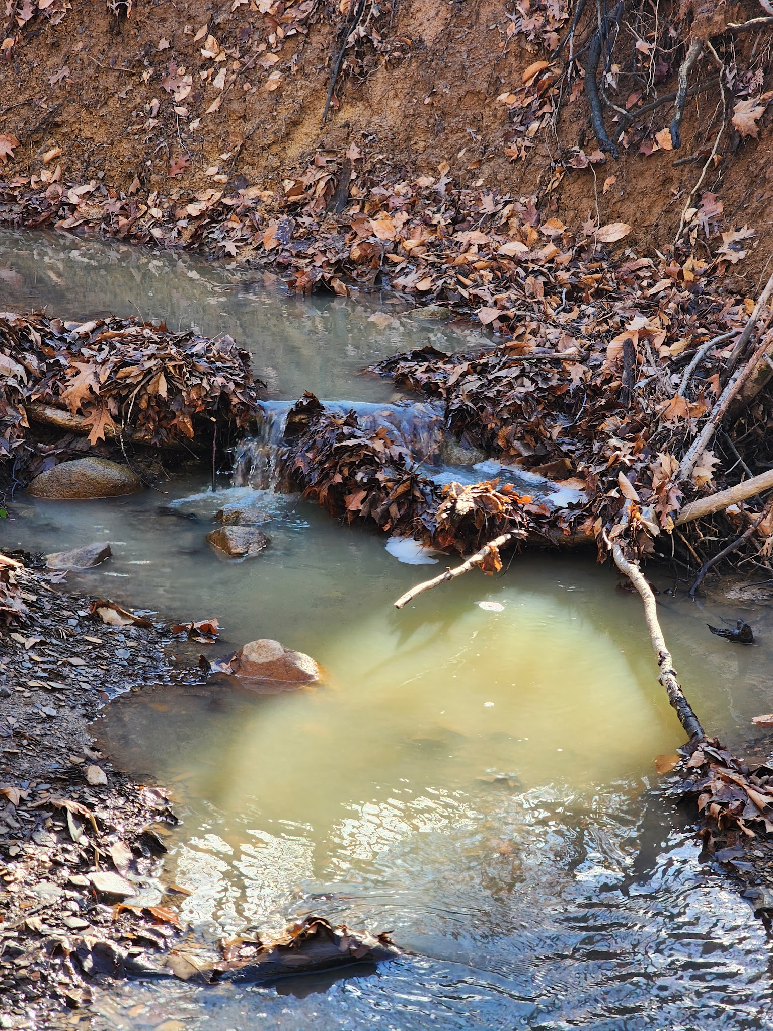 Alum Creek Equestrian Campground