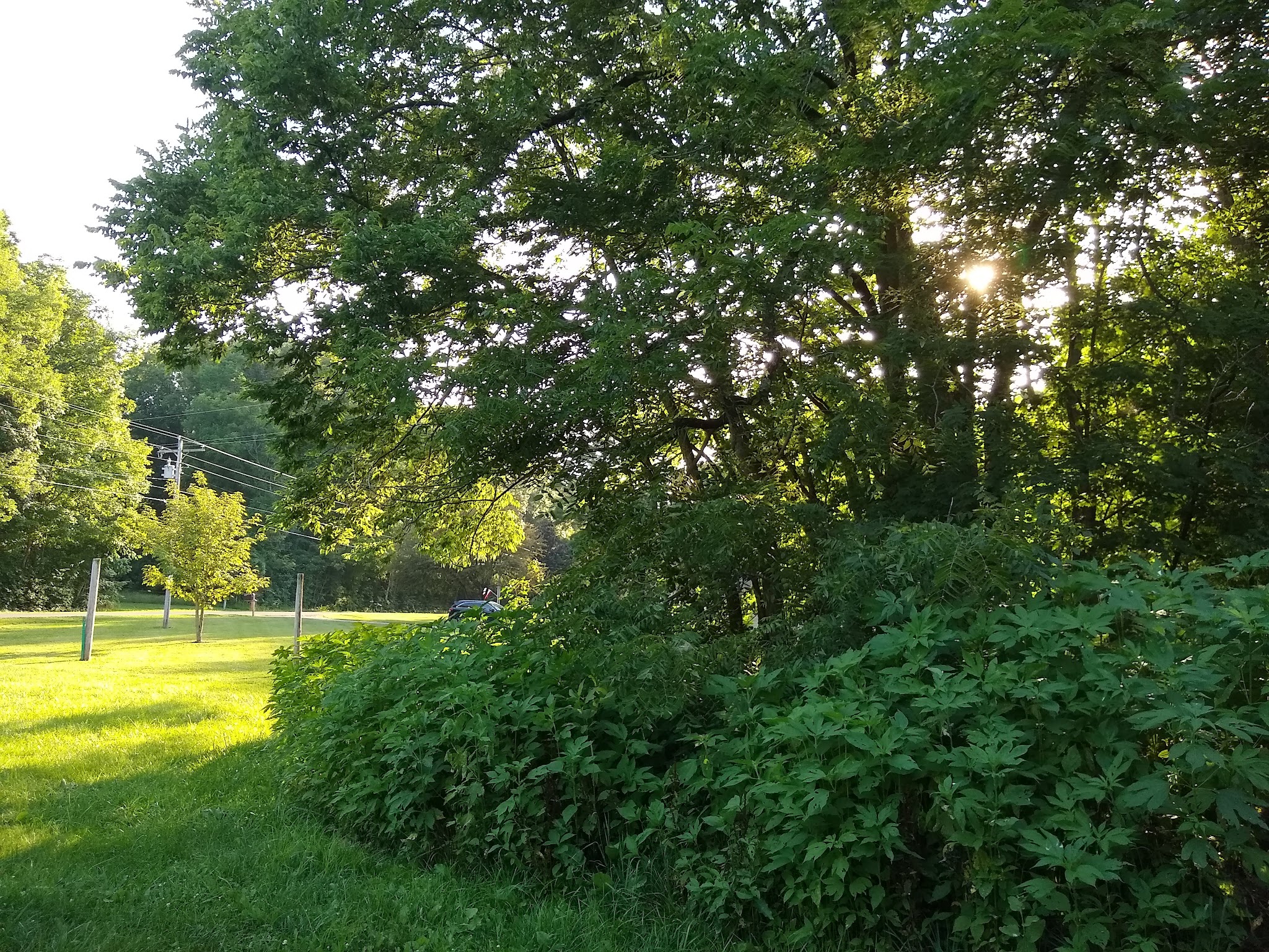 Alum Creek Equestrian Campground