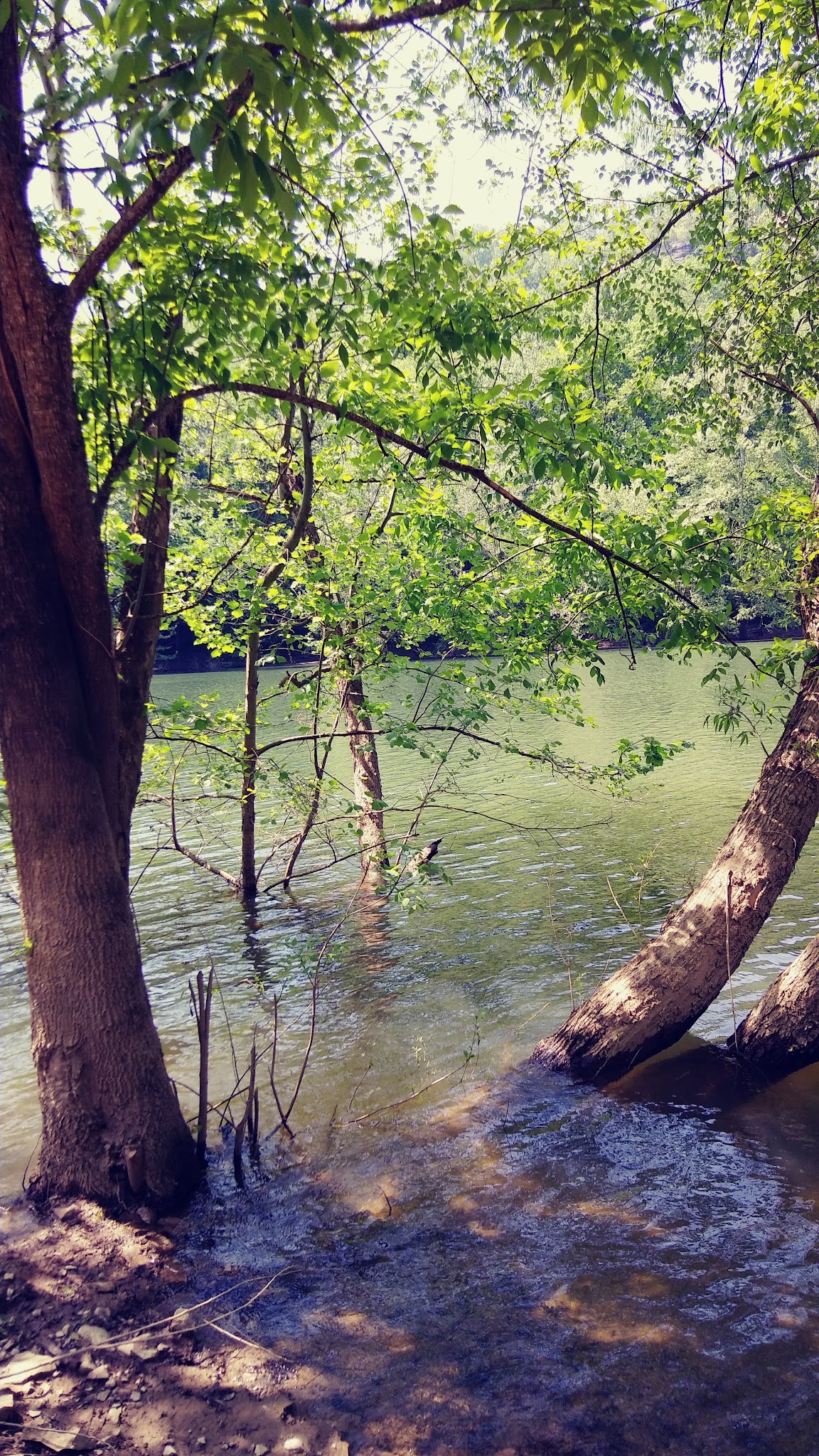 Alum Ford Campground