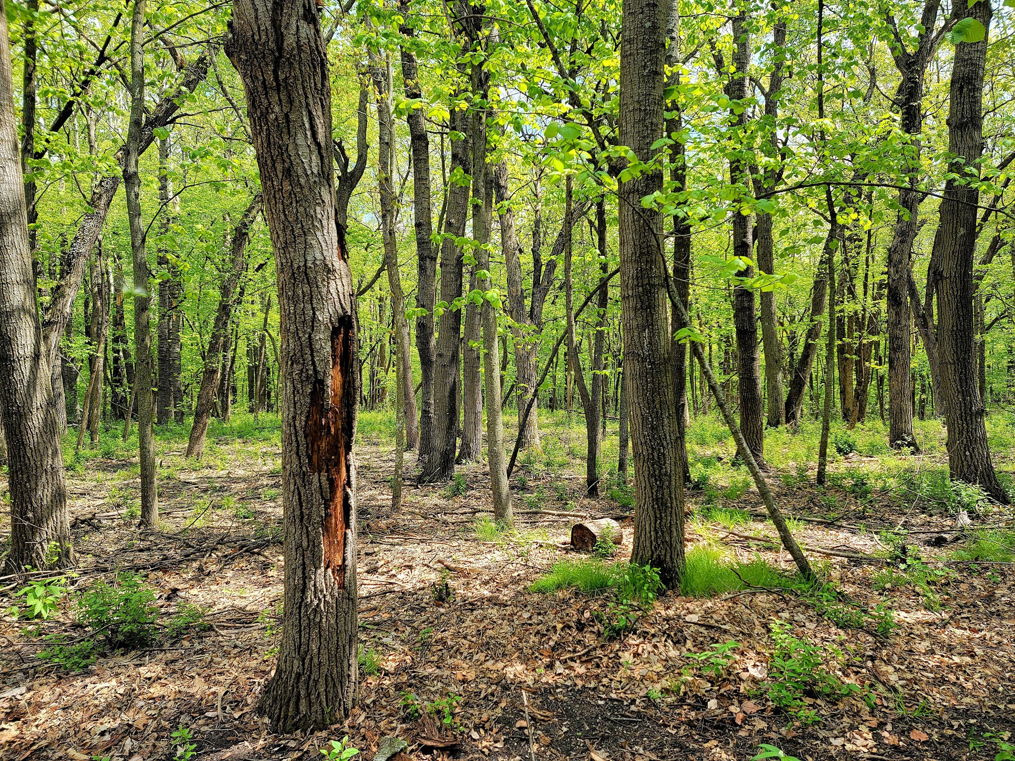 Ambrose A. Call State Park