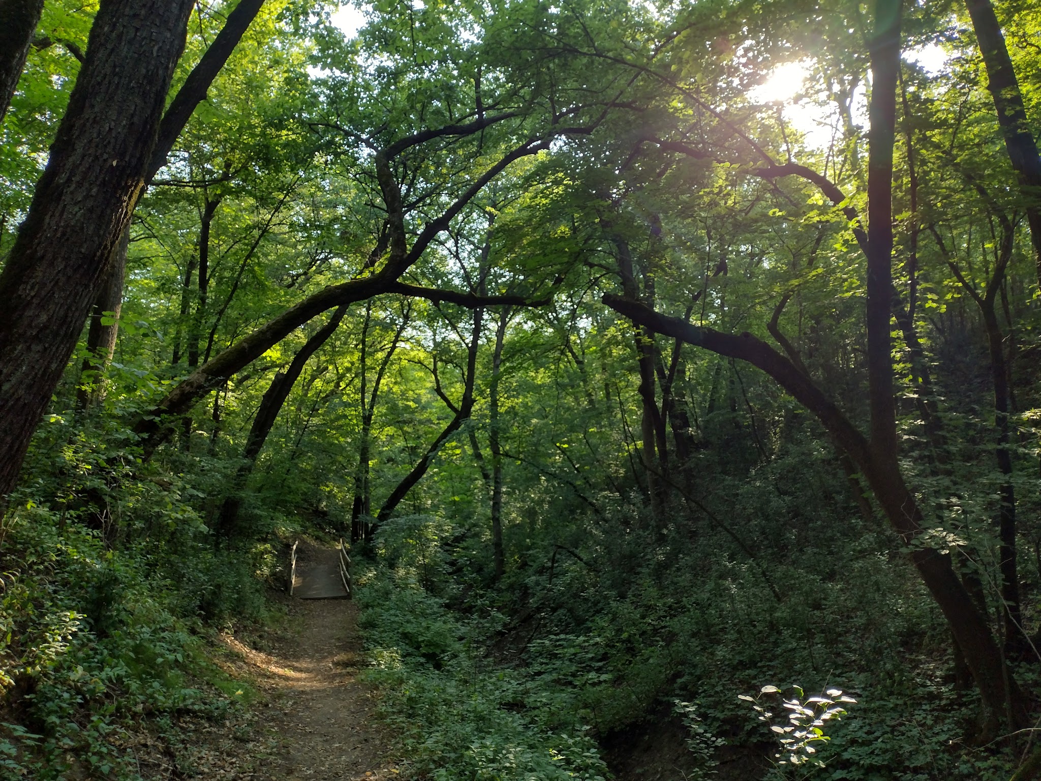 Ambrose A. Call State Park