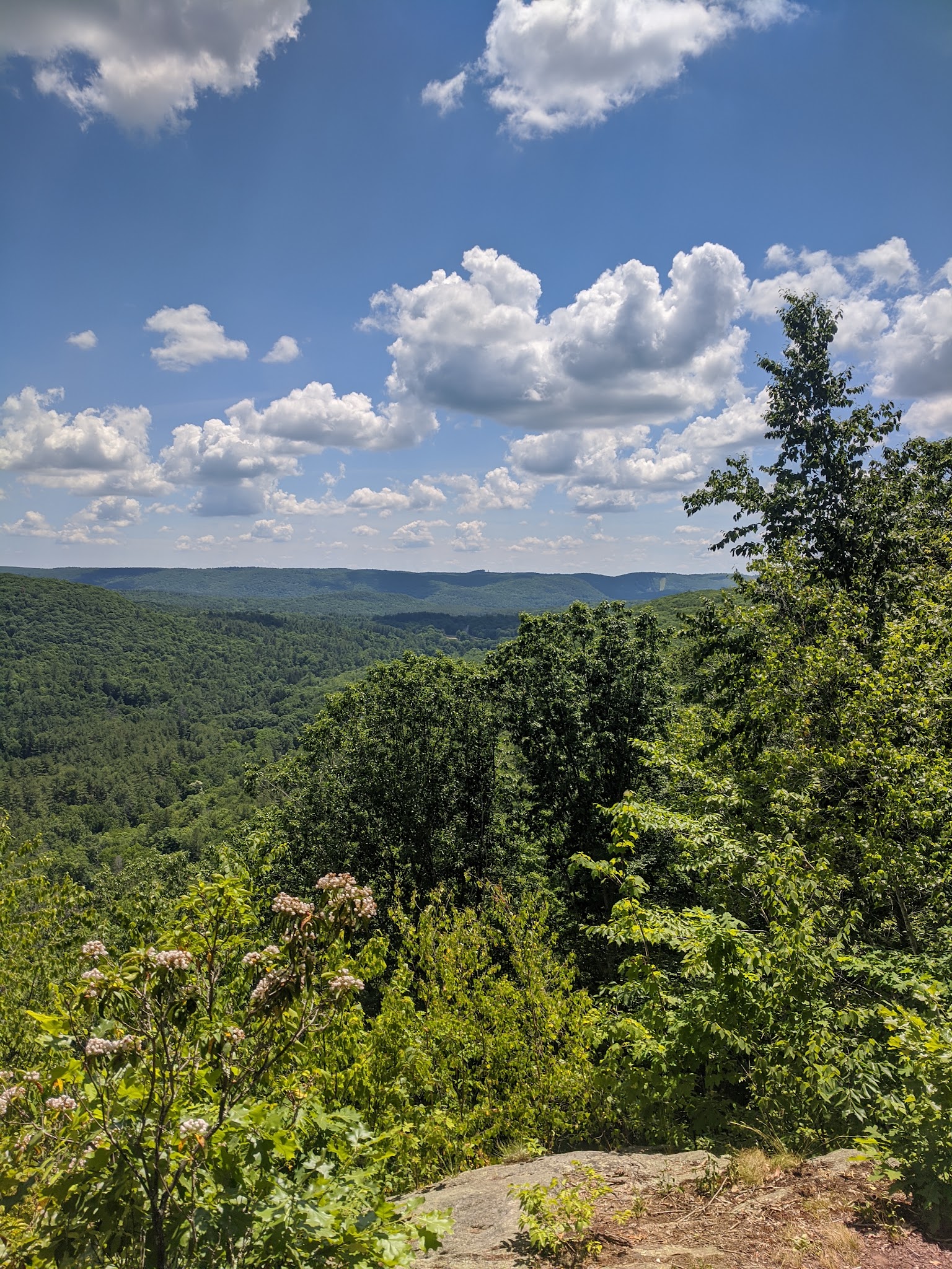 American Legion Sf (Hawes)