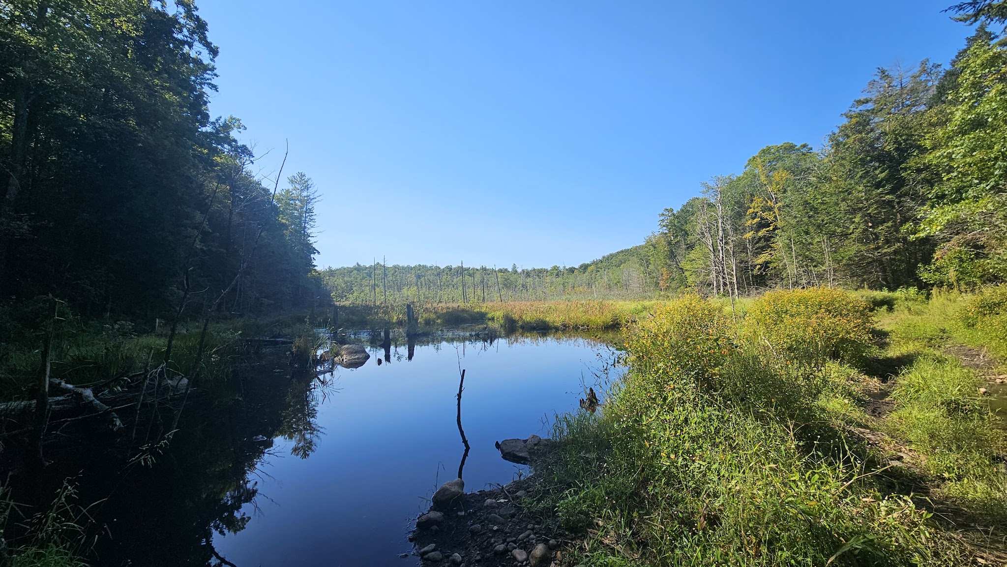 American Legion Sf (Hawes)