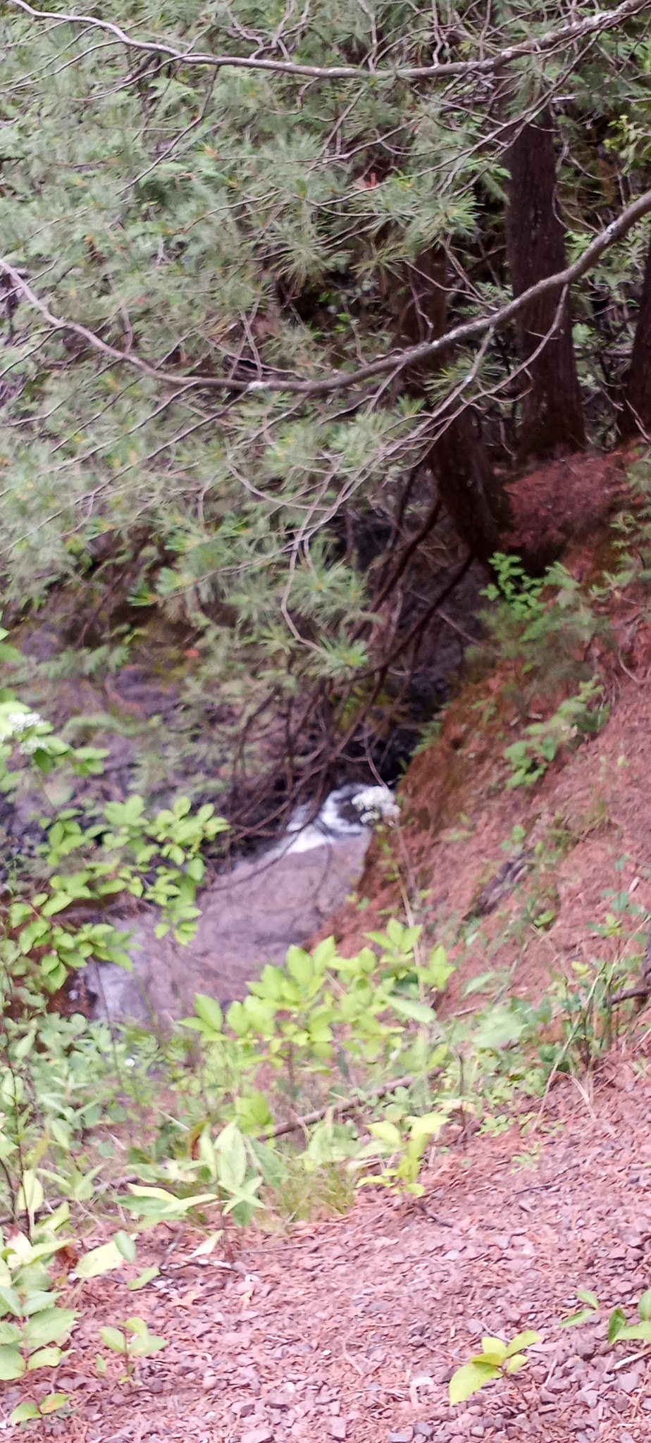 Amnicon Falls State Park