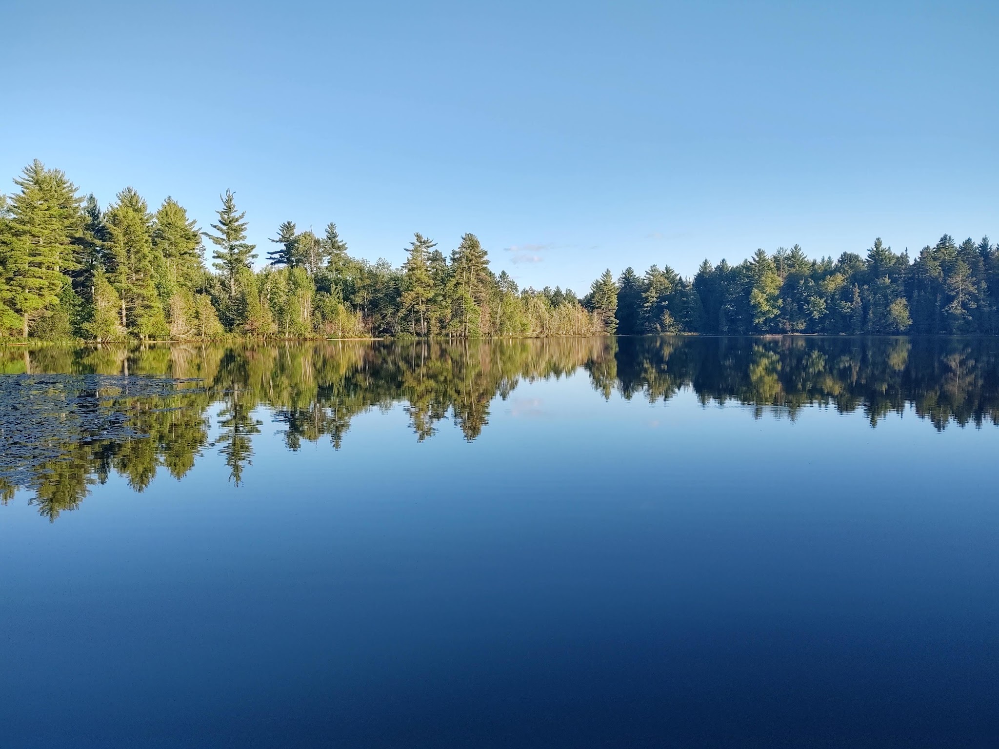 Anderson Lake West State Forest Campground