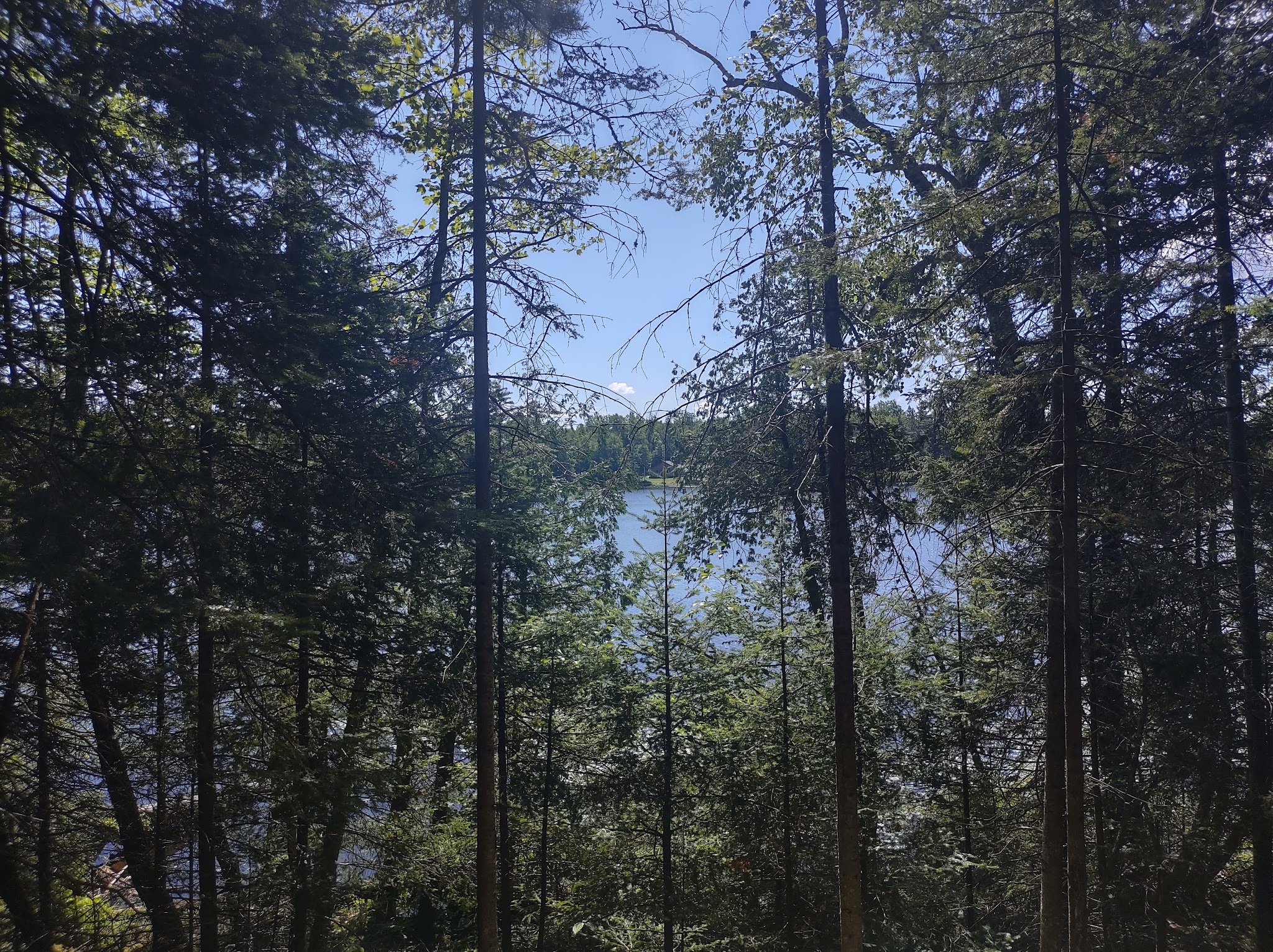 Anderson Lake West State Forest Campground