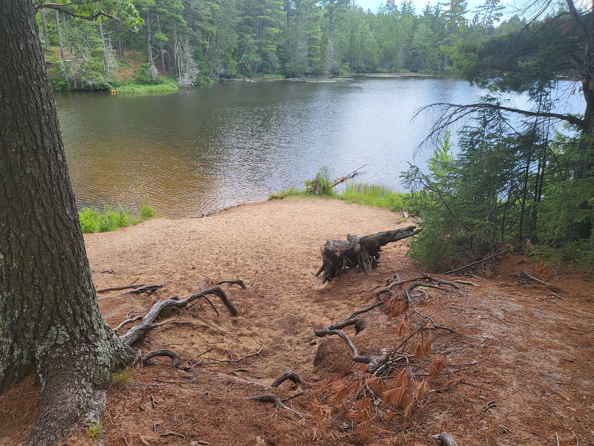 Anderson Lake West State Forest Campground