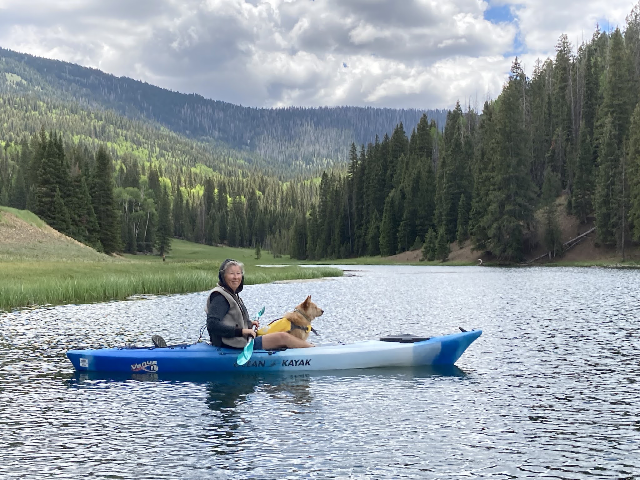 Anderson Meadow Campground (Fishlake Nf, Ut)