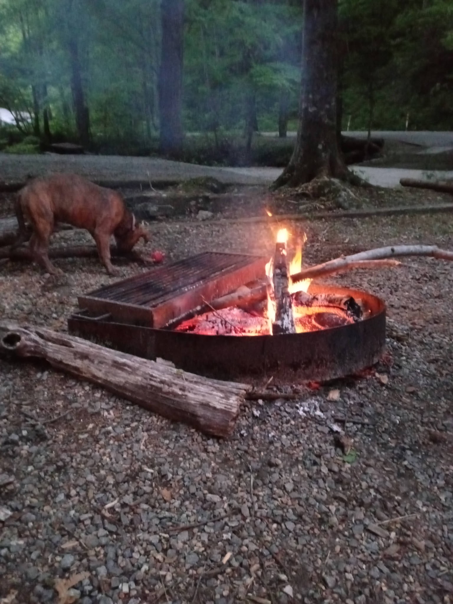 Andrews Cove Campground
