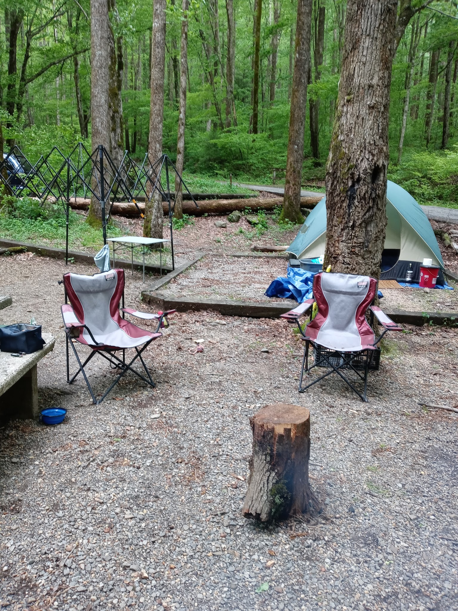 Andrews Cove Campground