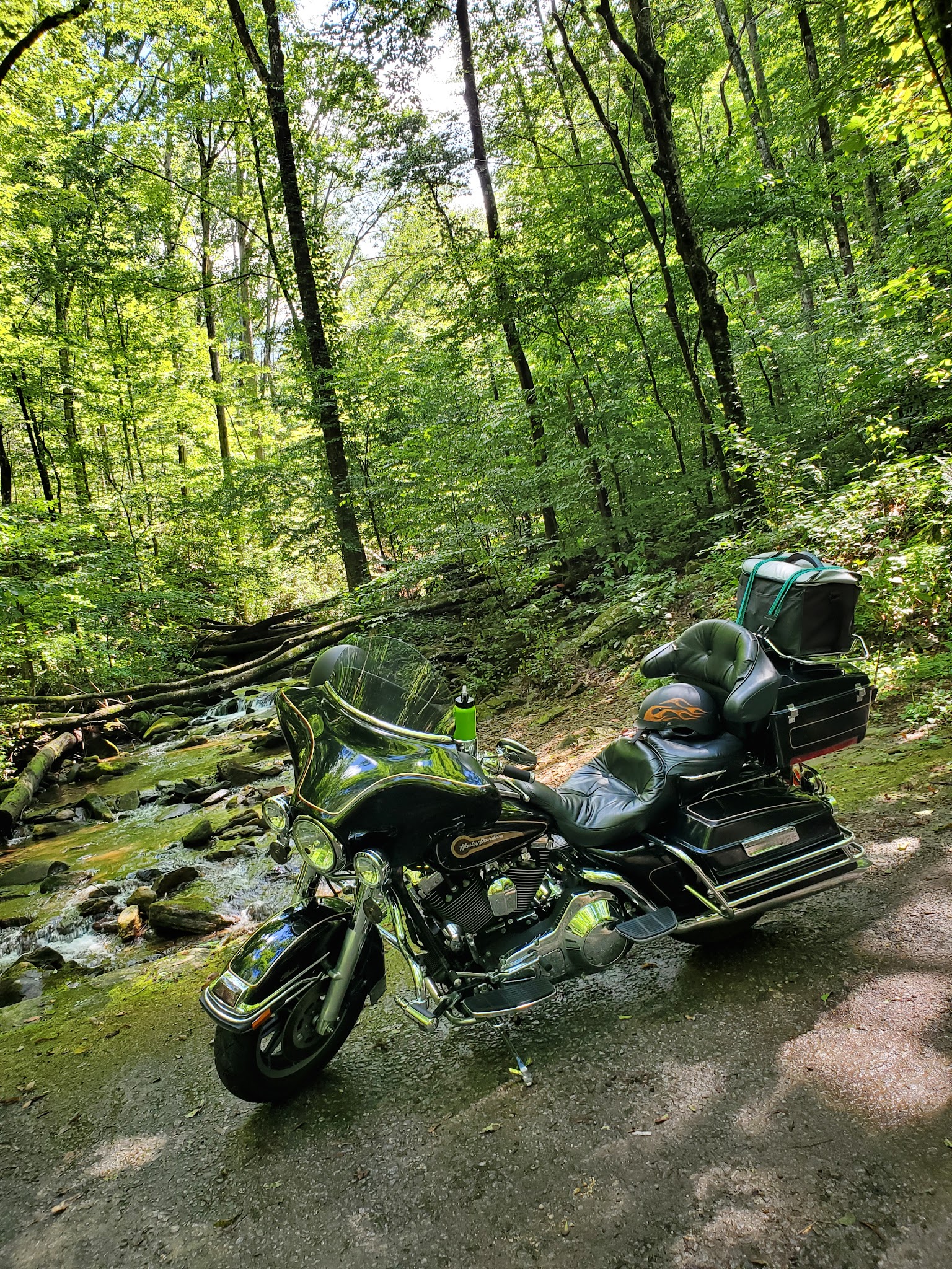 Andrews Cove Campground