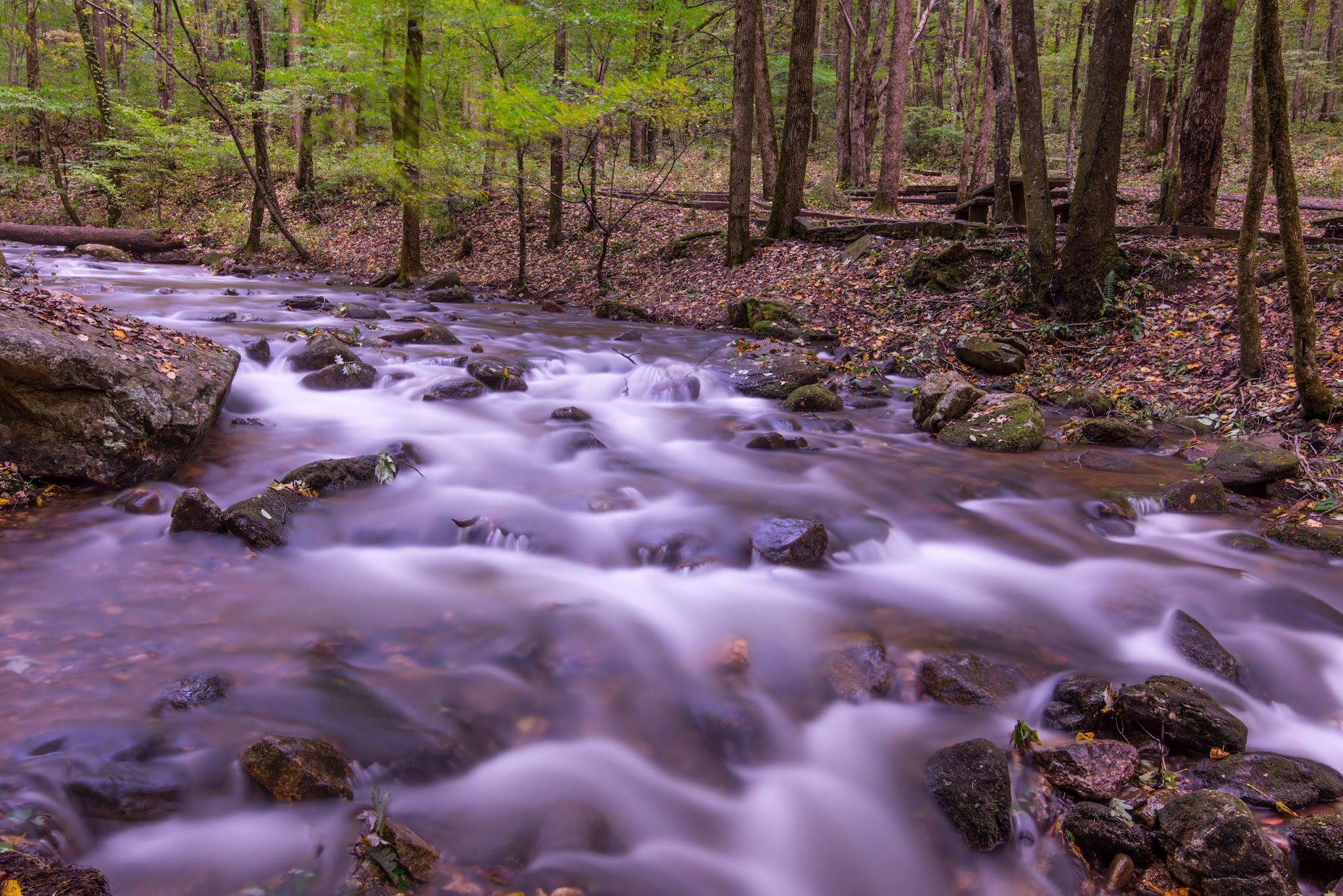 Andrews Cove Campground
