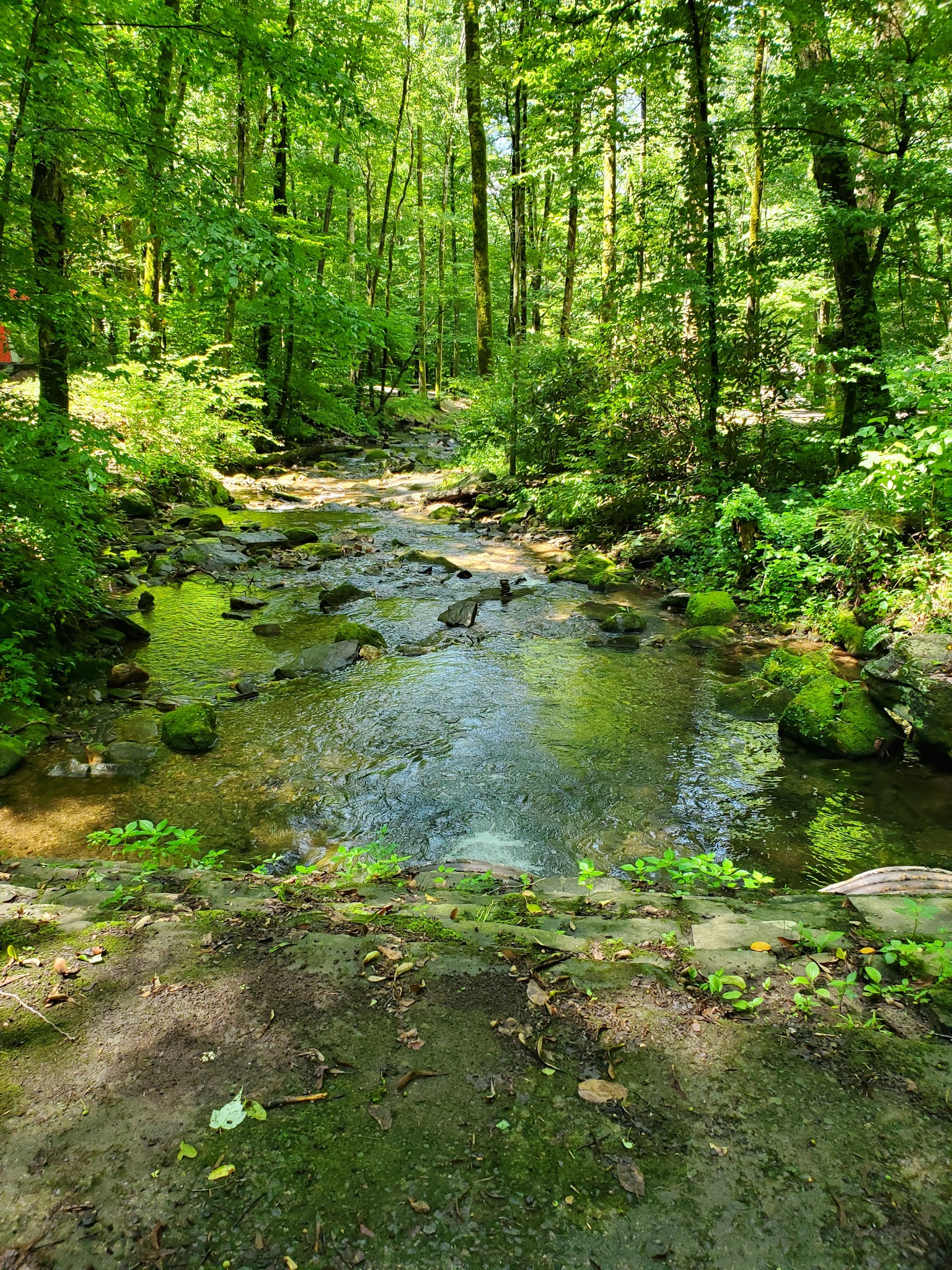 Andrews Cove Campground