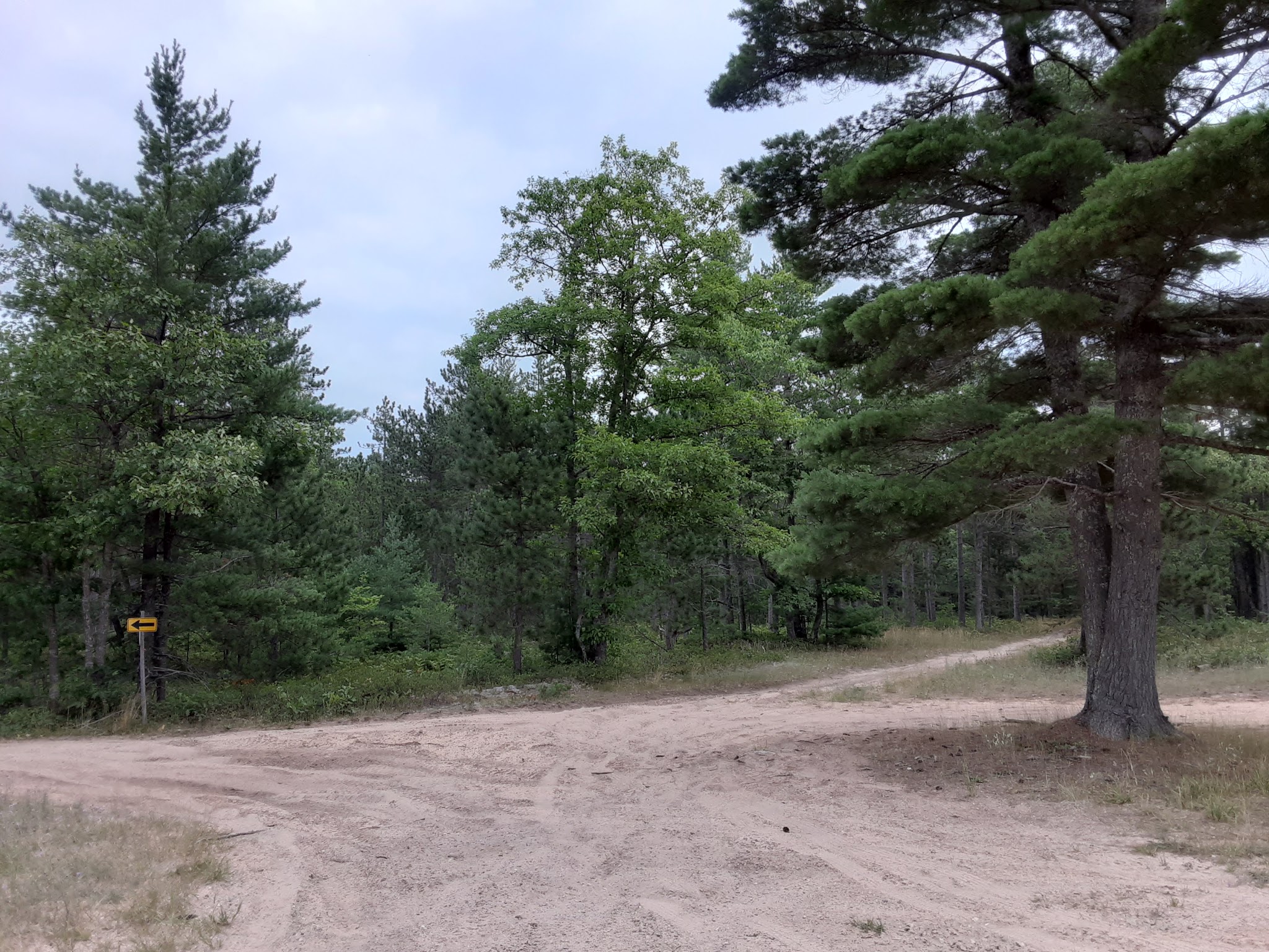 Andrus Lake State Forest Campground