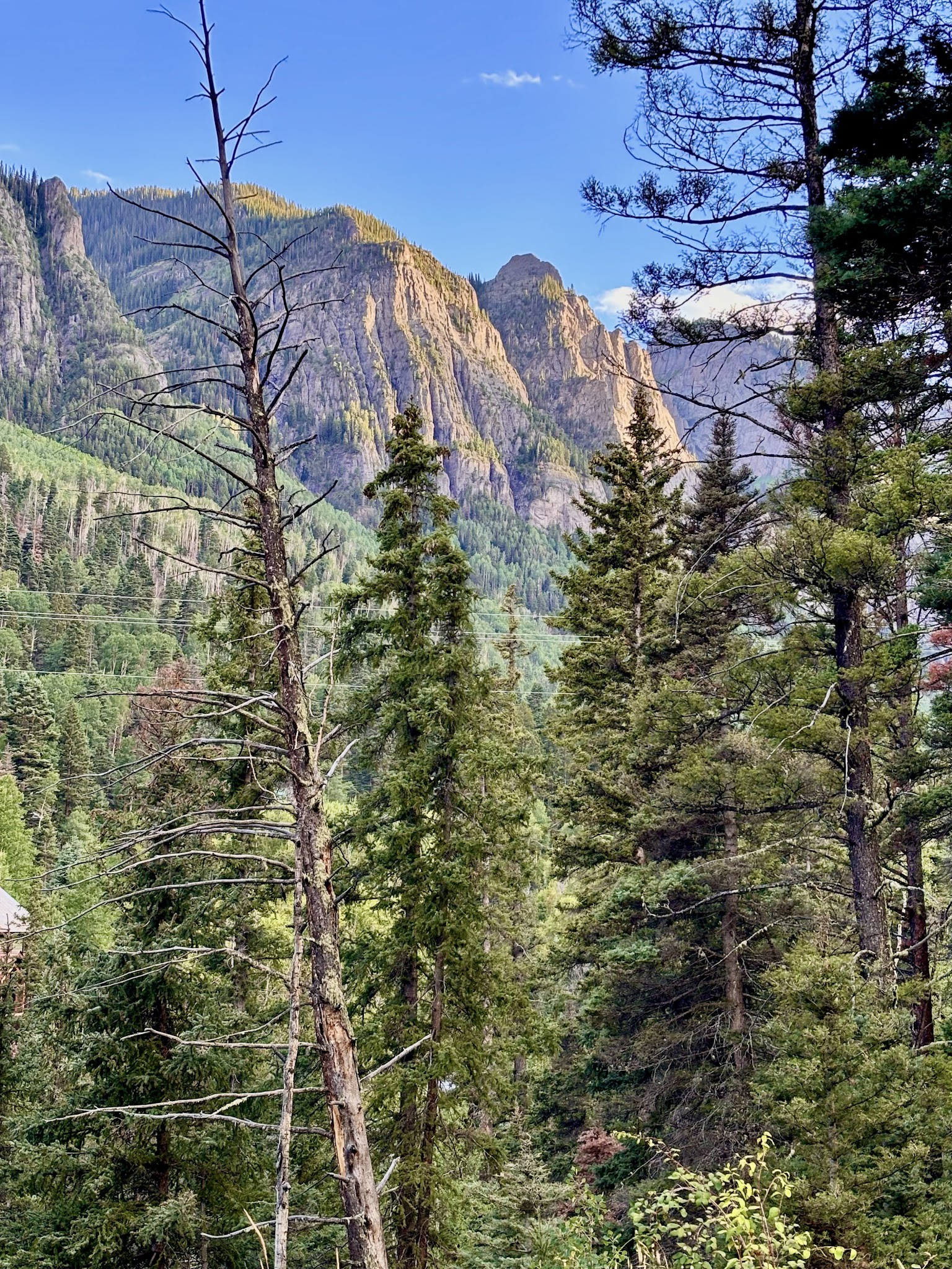 Angel Creek Campground - Ouray Rd