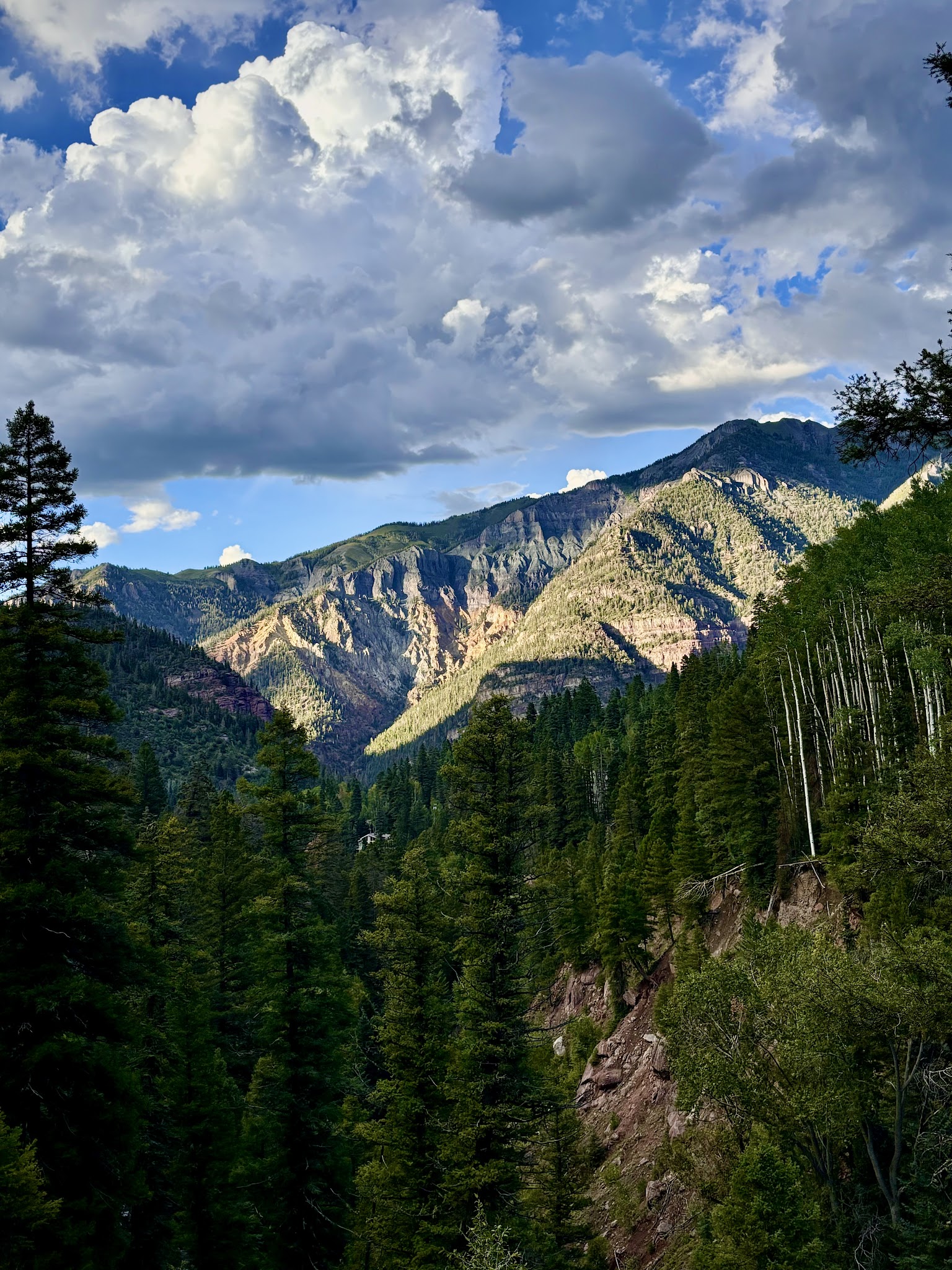 Angel Creek Campground - Ouray Rd