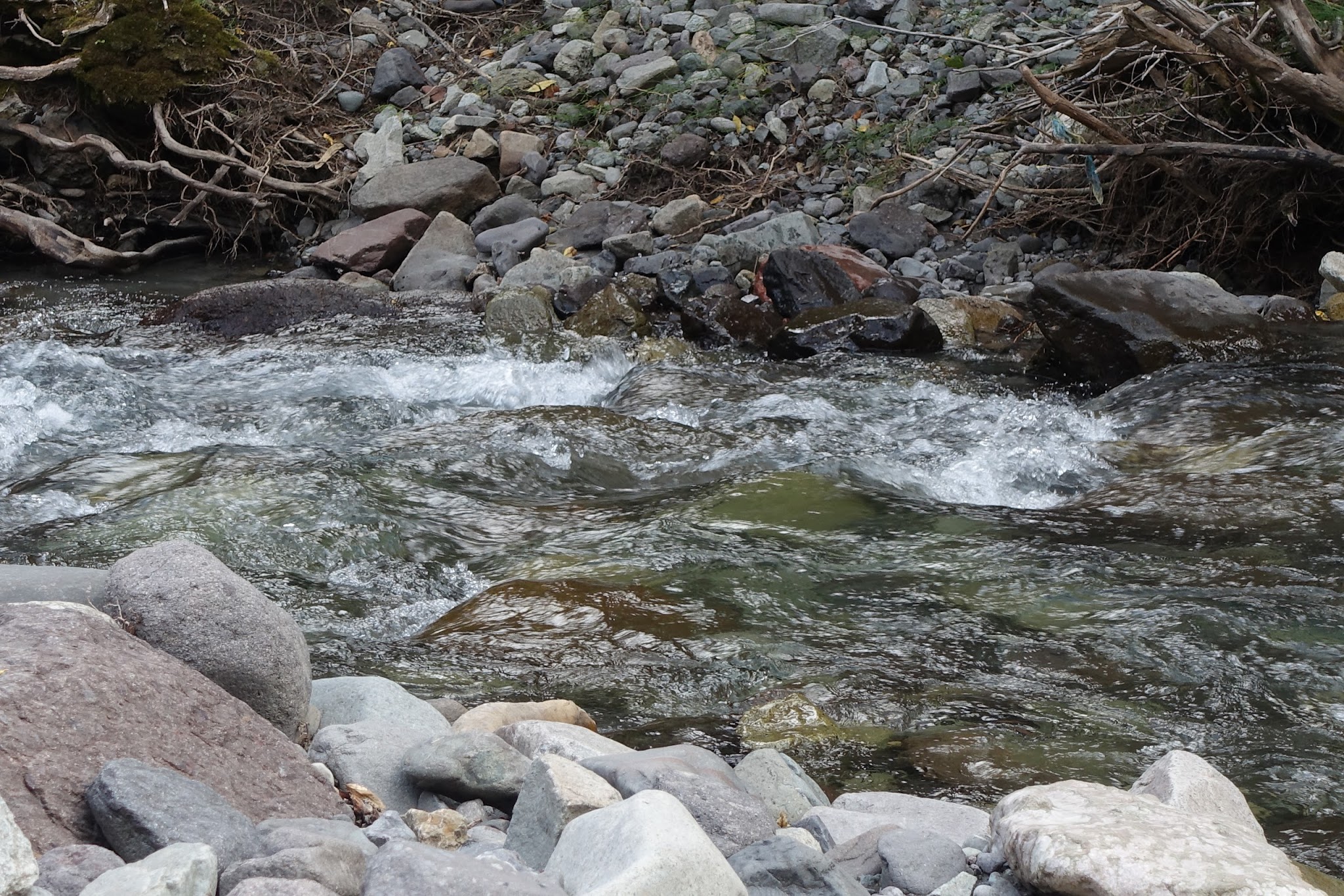 Angel Creek Campground - Ouray Rd