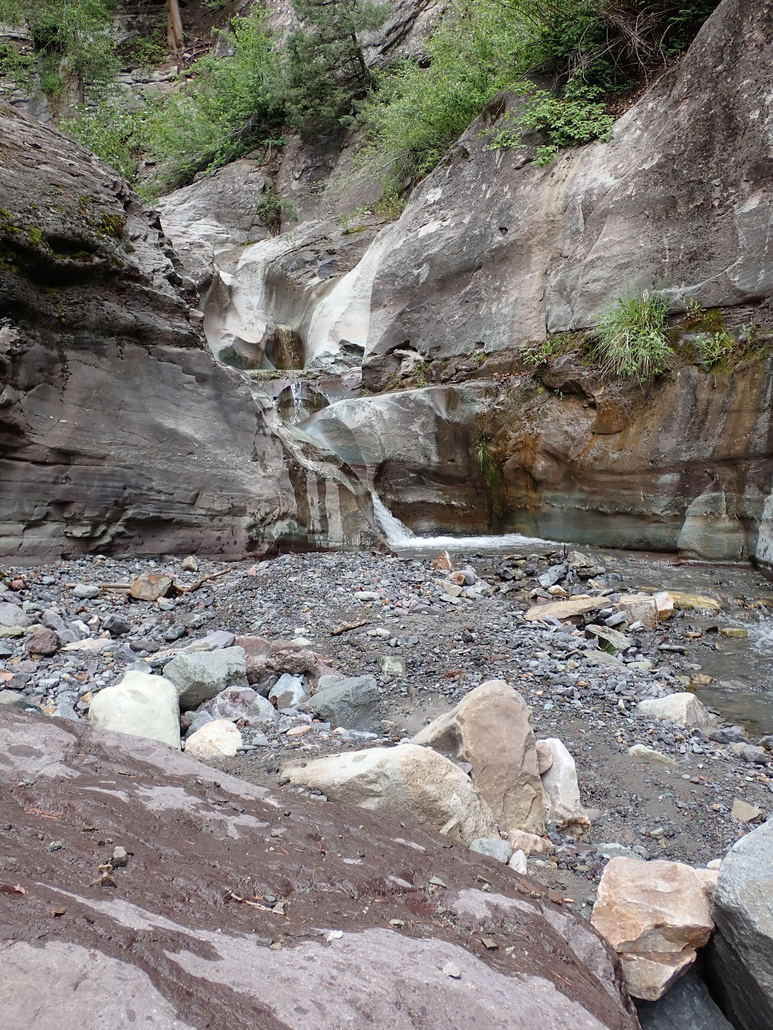Angel Creek Campground - Ouray Rd
